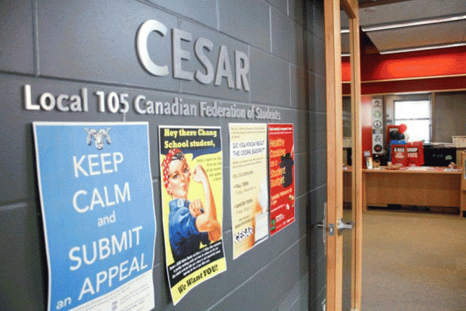 A wall which has a sign of the name "CESAR" and signs, such as one reading "Keep calm and submit an appeal"