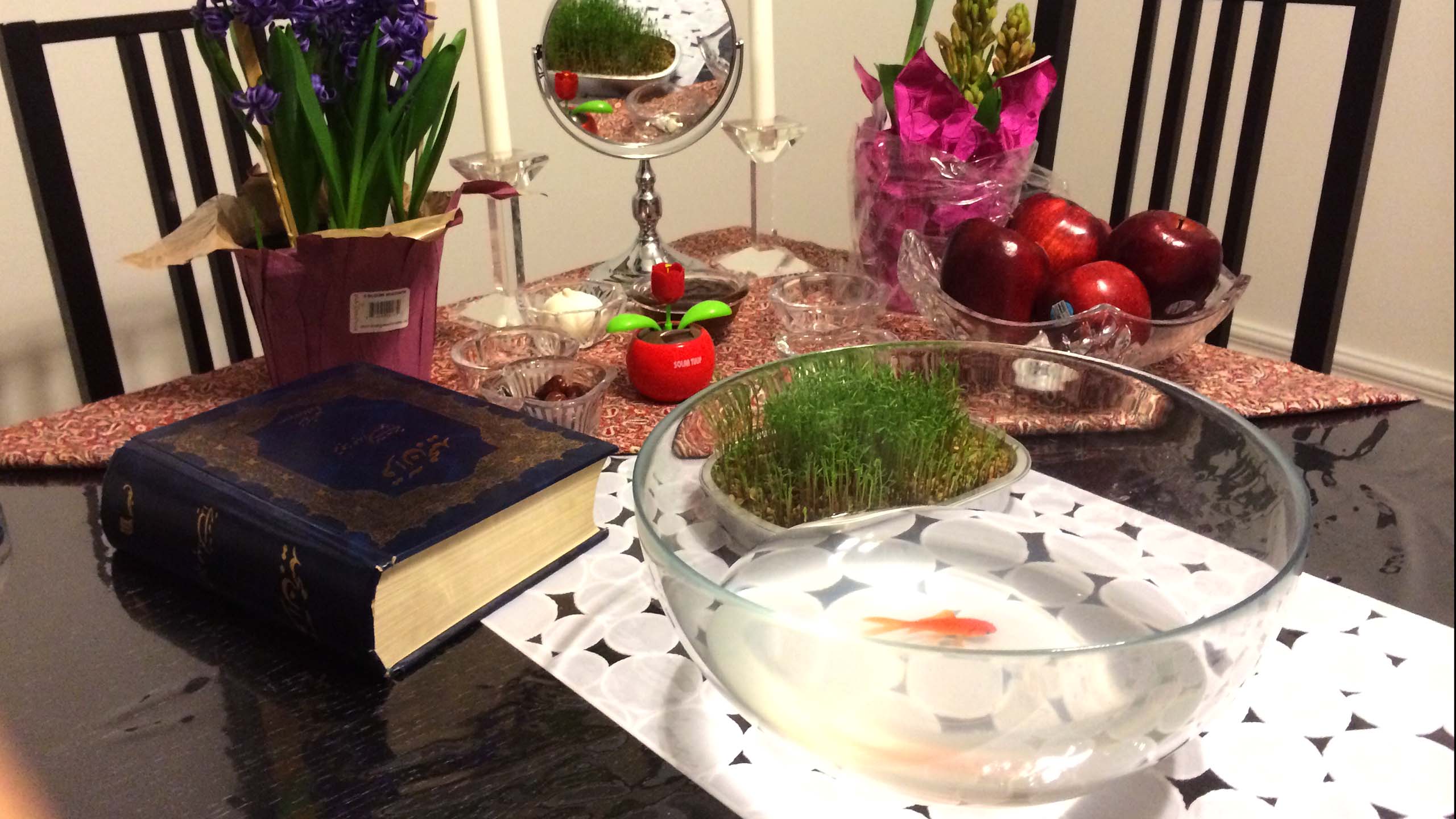 Bob, the gold fish, swims around in his bowl as part of the Fekri 2014 Nowruz sofre (new year's spread).