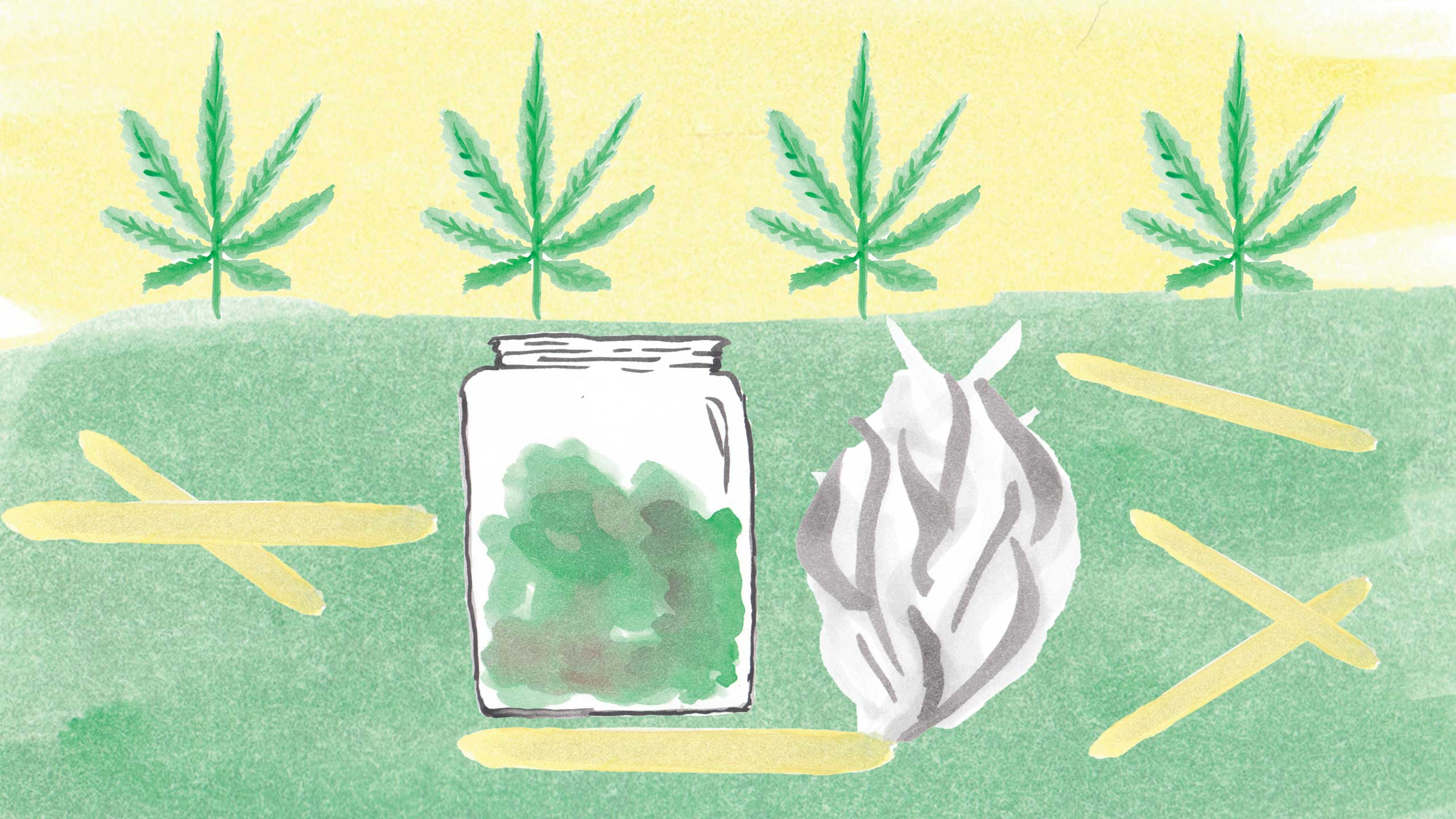 With marijuana legalization just under a year away, what will happen to the medicinal users when their supplies are controlled by the government? ILLUSTRATION BY SKYLER ASH