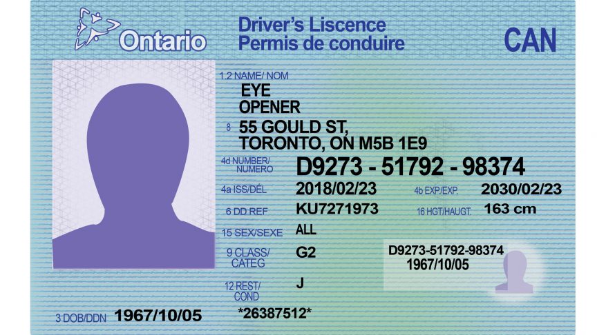 The Fake Out: Are the risks and costs of fake IDs worth it? - The Eyeopener