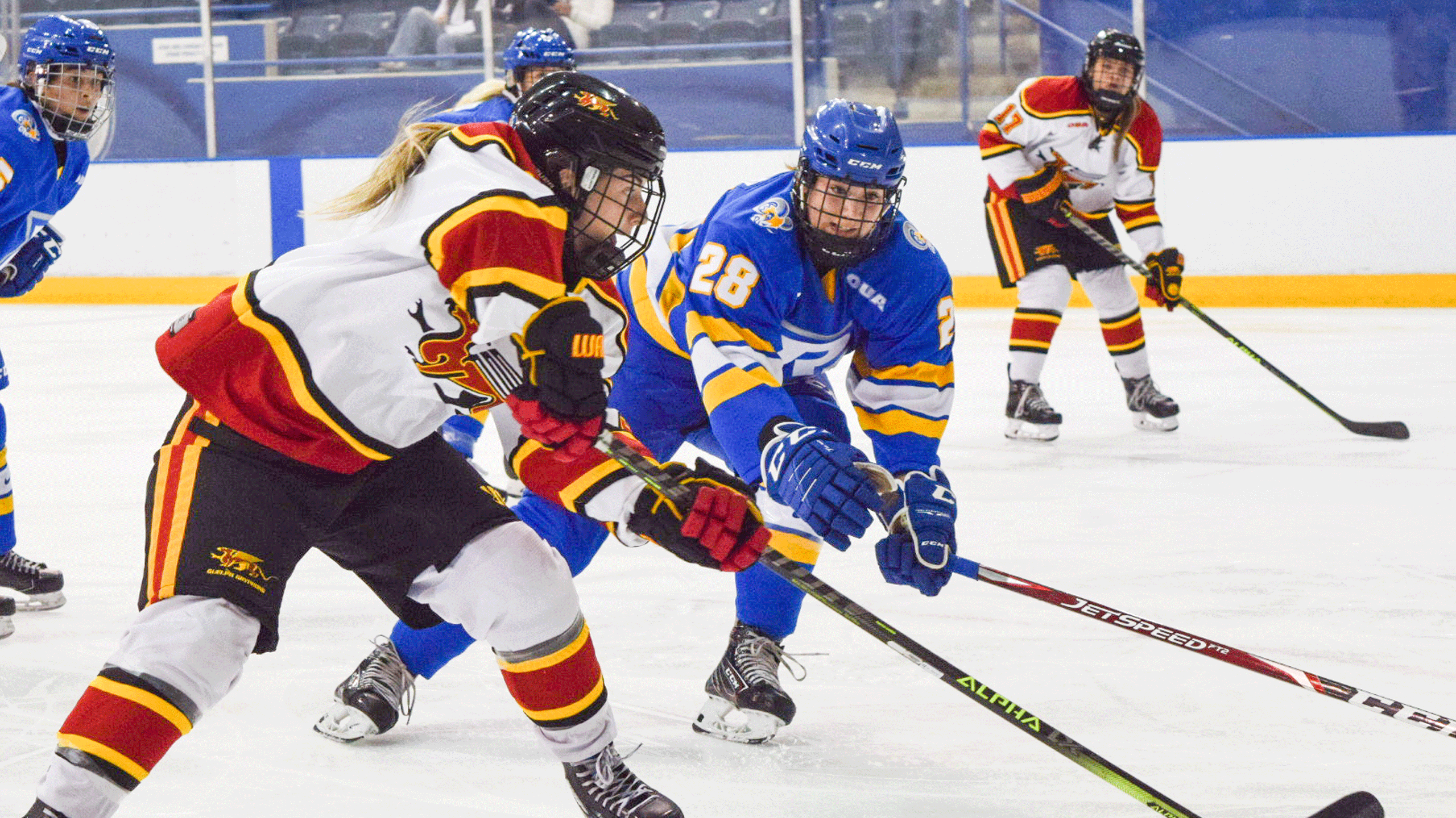 A Rams women's hockey player in a blue jersey chases down the puck