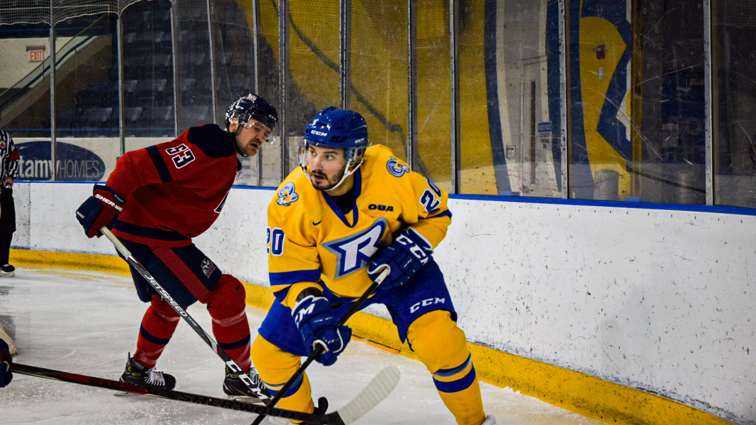 A Rams men's hockey player in a gold jersey chases the puck