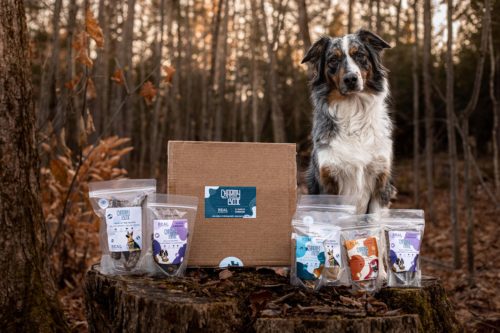 A dog standing over a box of treats