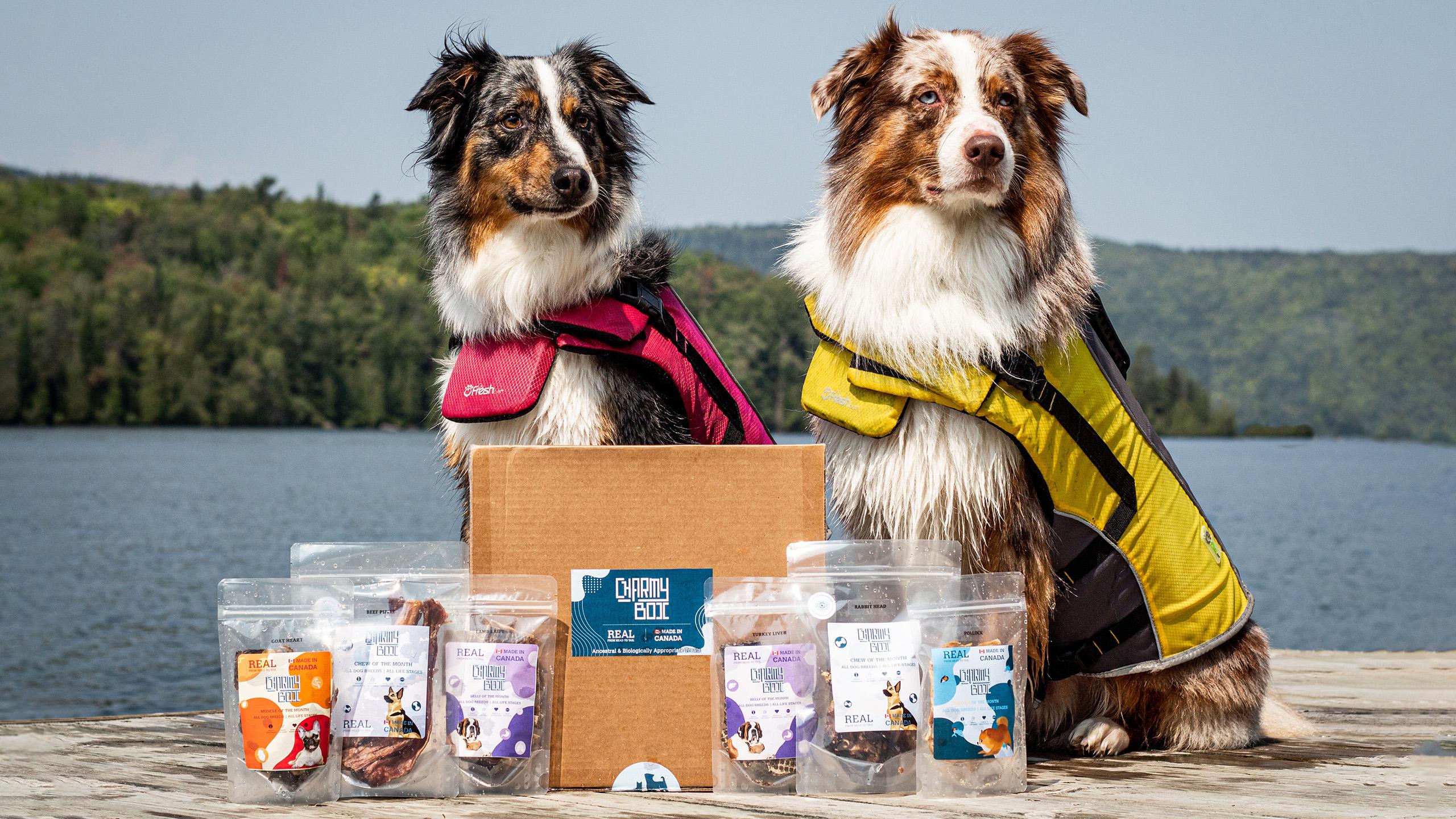 Two dogs standing above an assortment of packaged treats