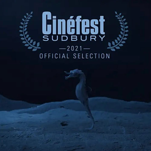 An animated seahorse and text that says Cinefest Sudbury 2021 Official Selection