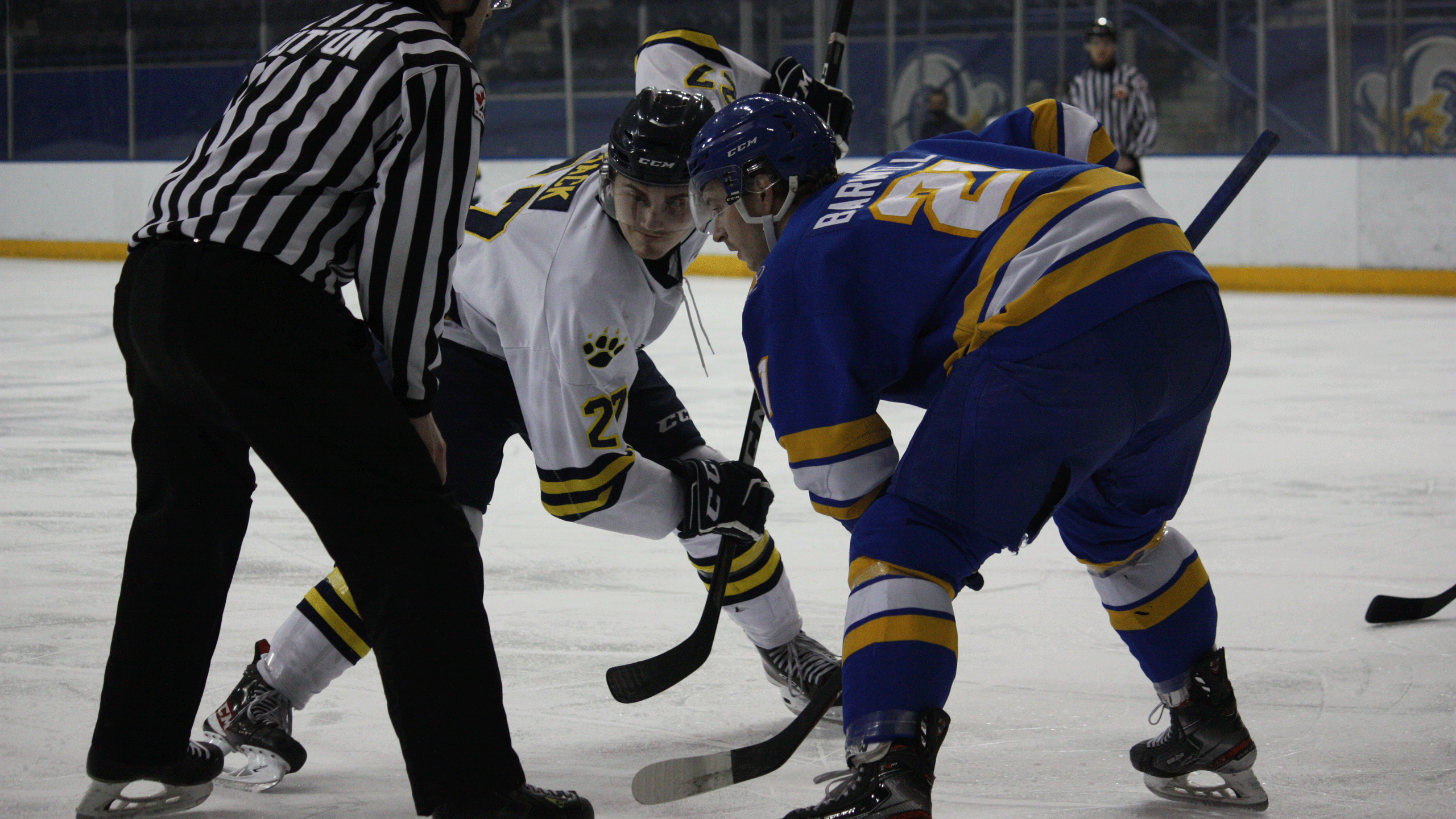A Rams men's hockey player in a blue jersey takes a face-off