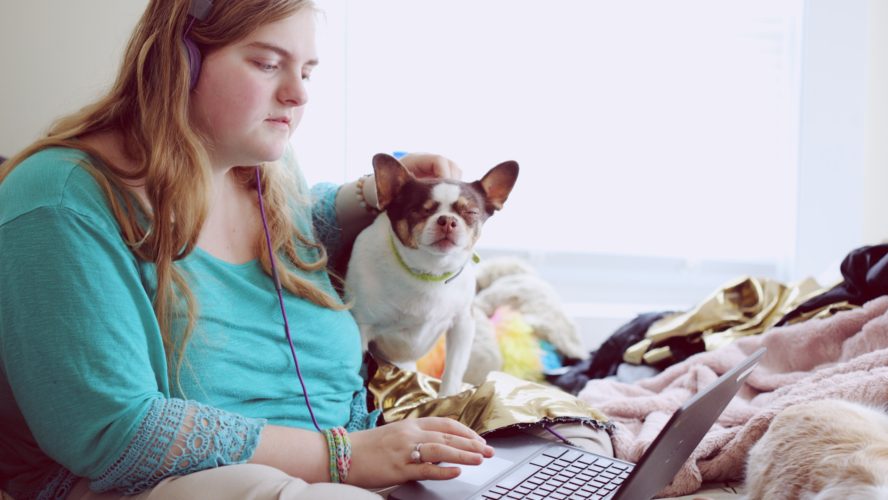 Woman on her laptop sitting on a bed, stroking a dog next to her