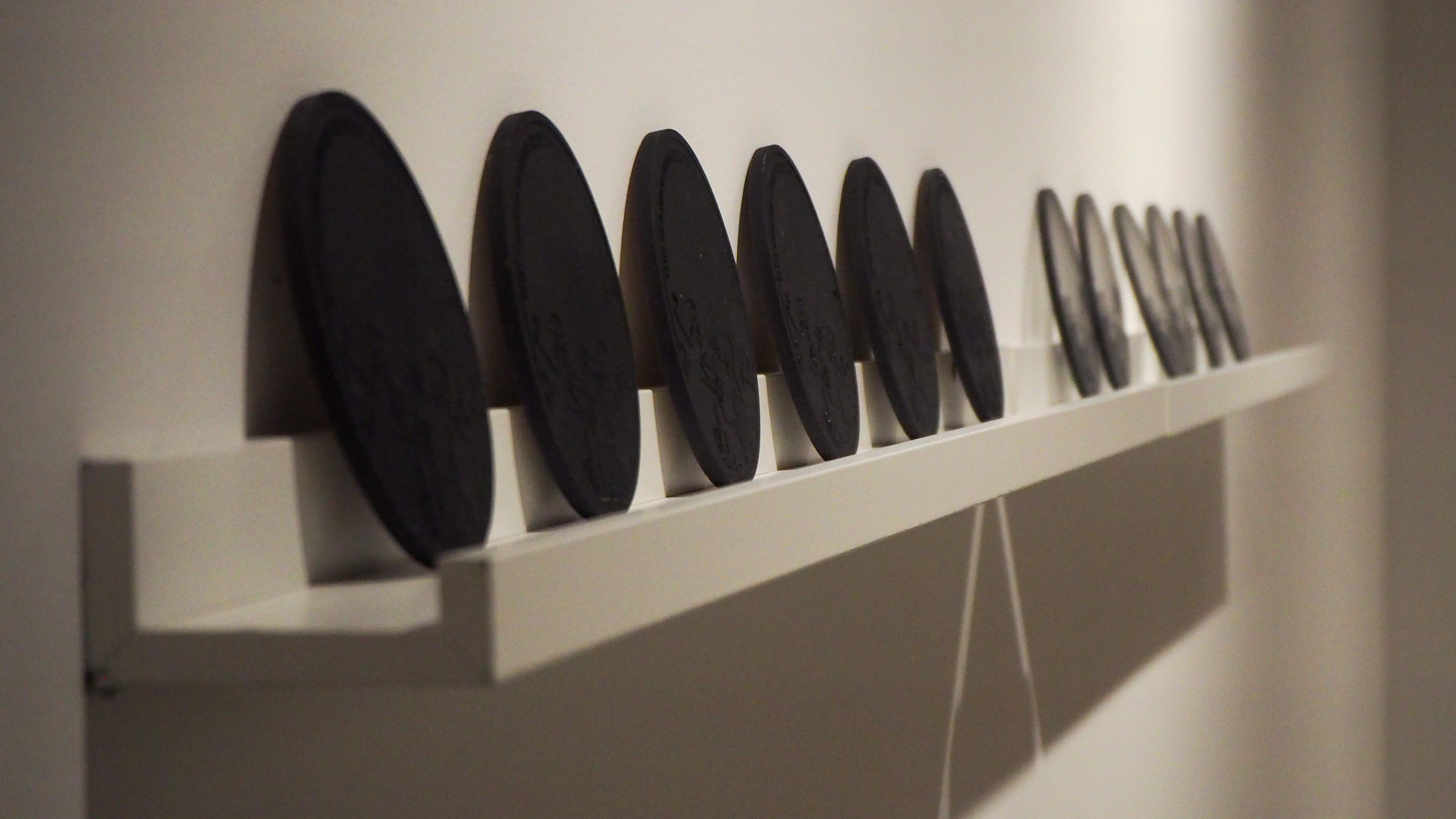 A series of twelve medallions lined up on a shelf in the gallery