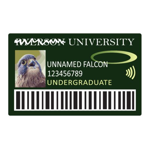 a One Card with a falcon on it that says Unnamed Falcon