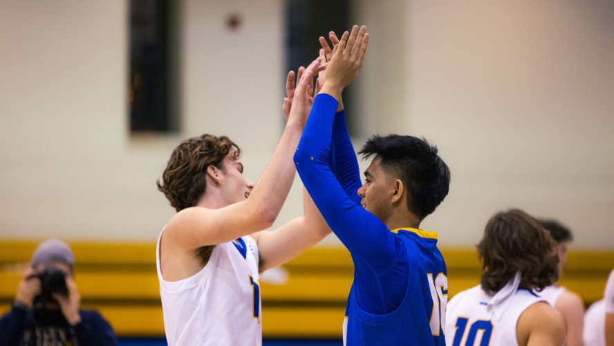 Two TMU men's volleyball players in white and blue jerseys high five in celebration