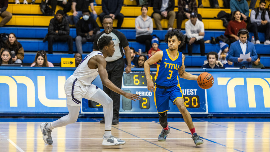 A TMU men's basketball in a blue jersey dribbles near a Western player in a white jersey