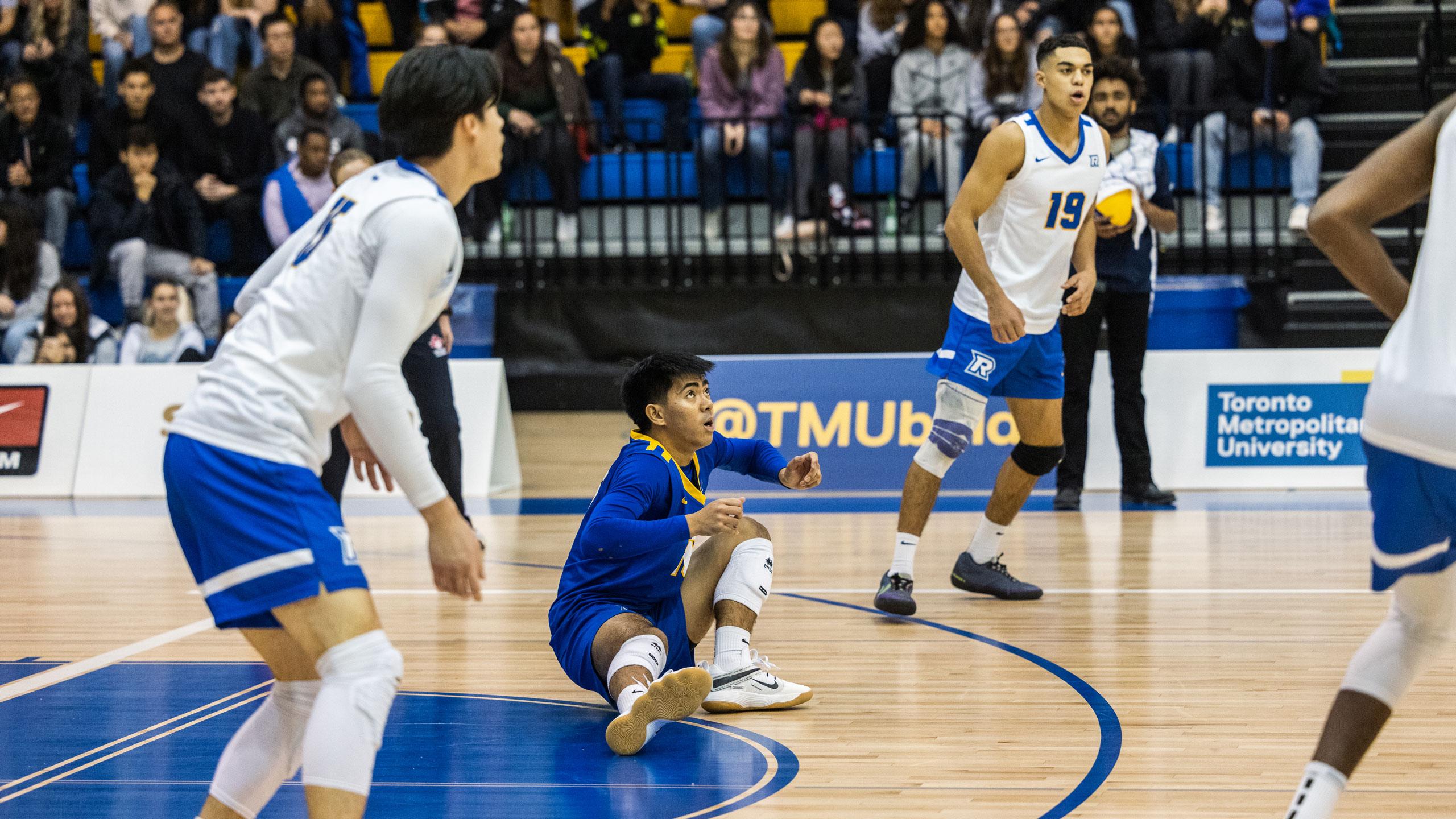 Three TMU men's volleyball players in white and blue jerseys look towards the ball in the air