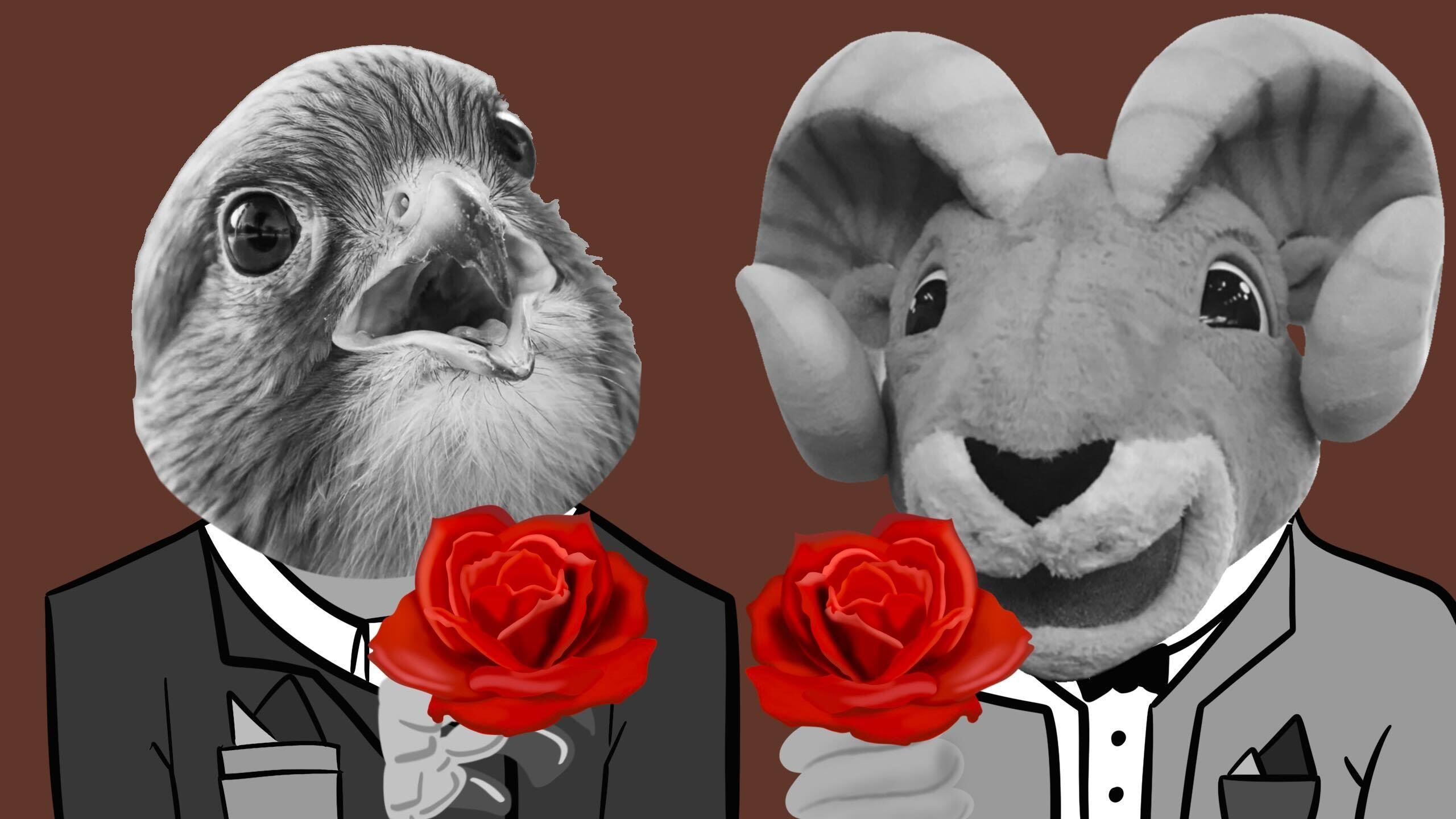 A falcon and ram wearing a tuxedo holding roses while standing next to each other