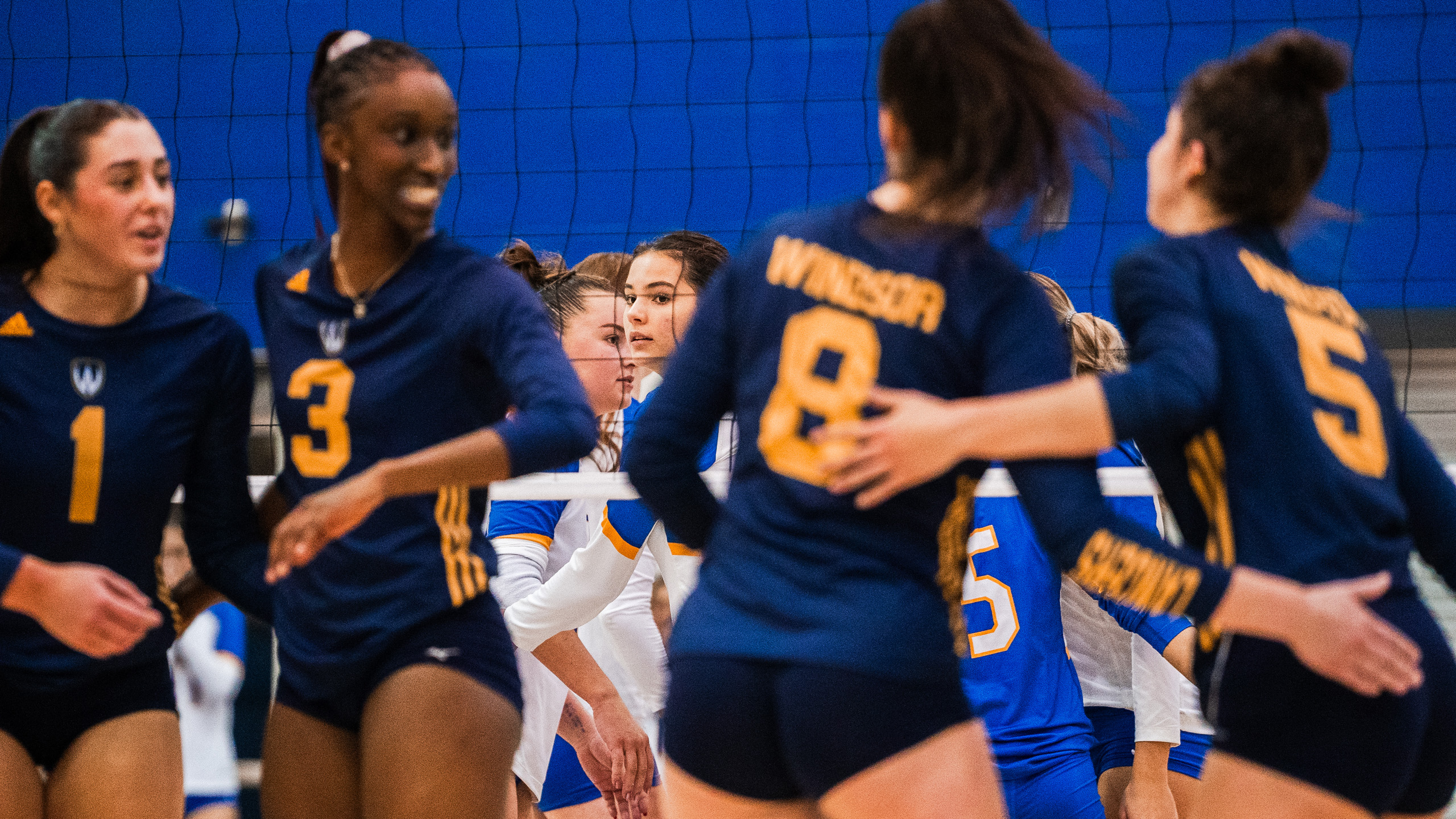 The TMU Bold women's volleyball teams huddles behind their opponents