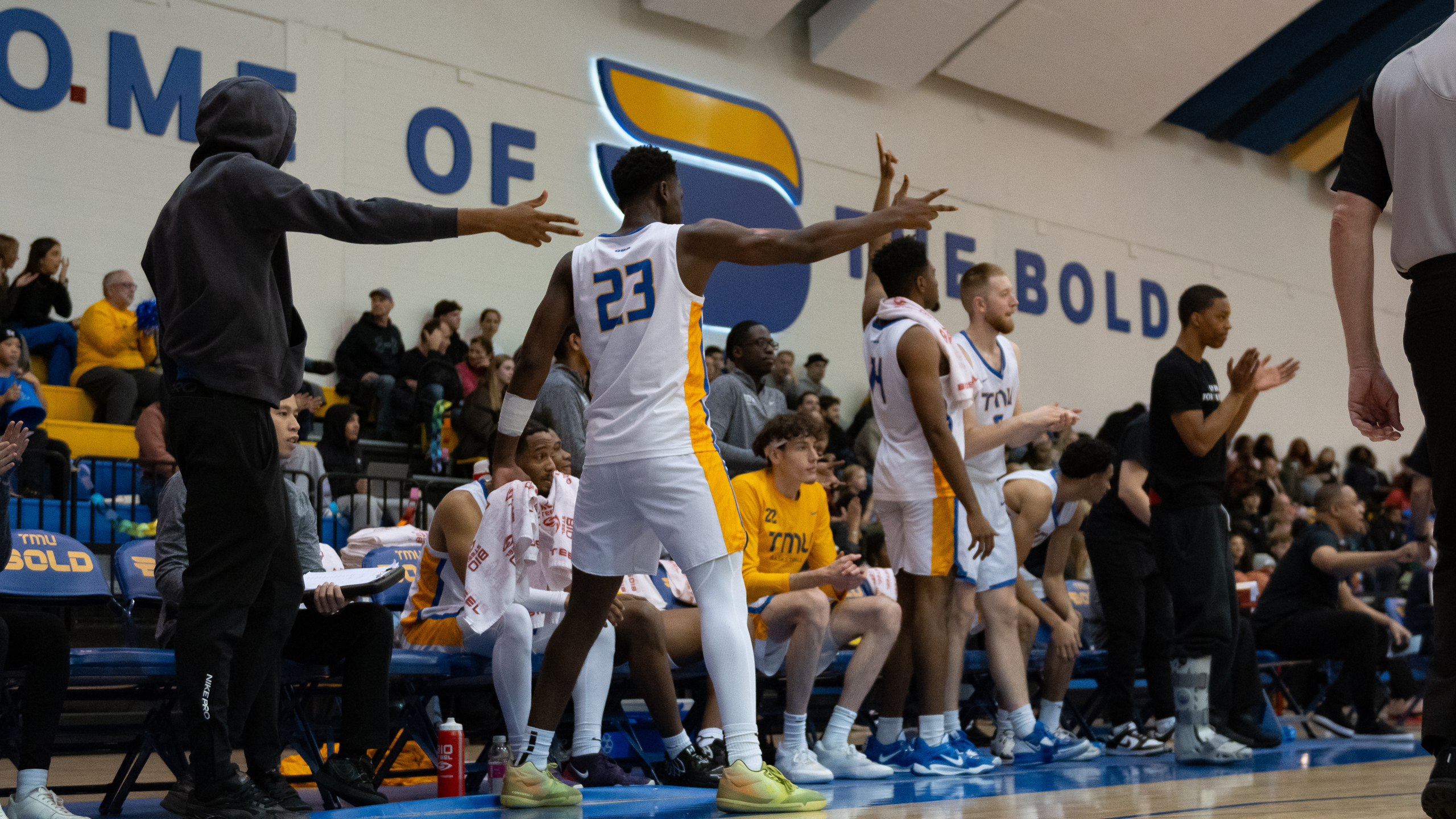 Members of the TMU Bold men's basketball team celebrate a big shot on the bench