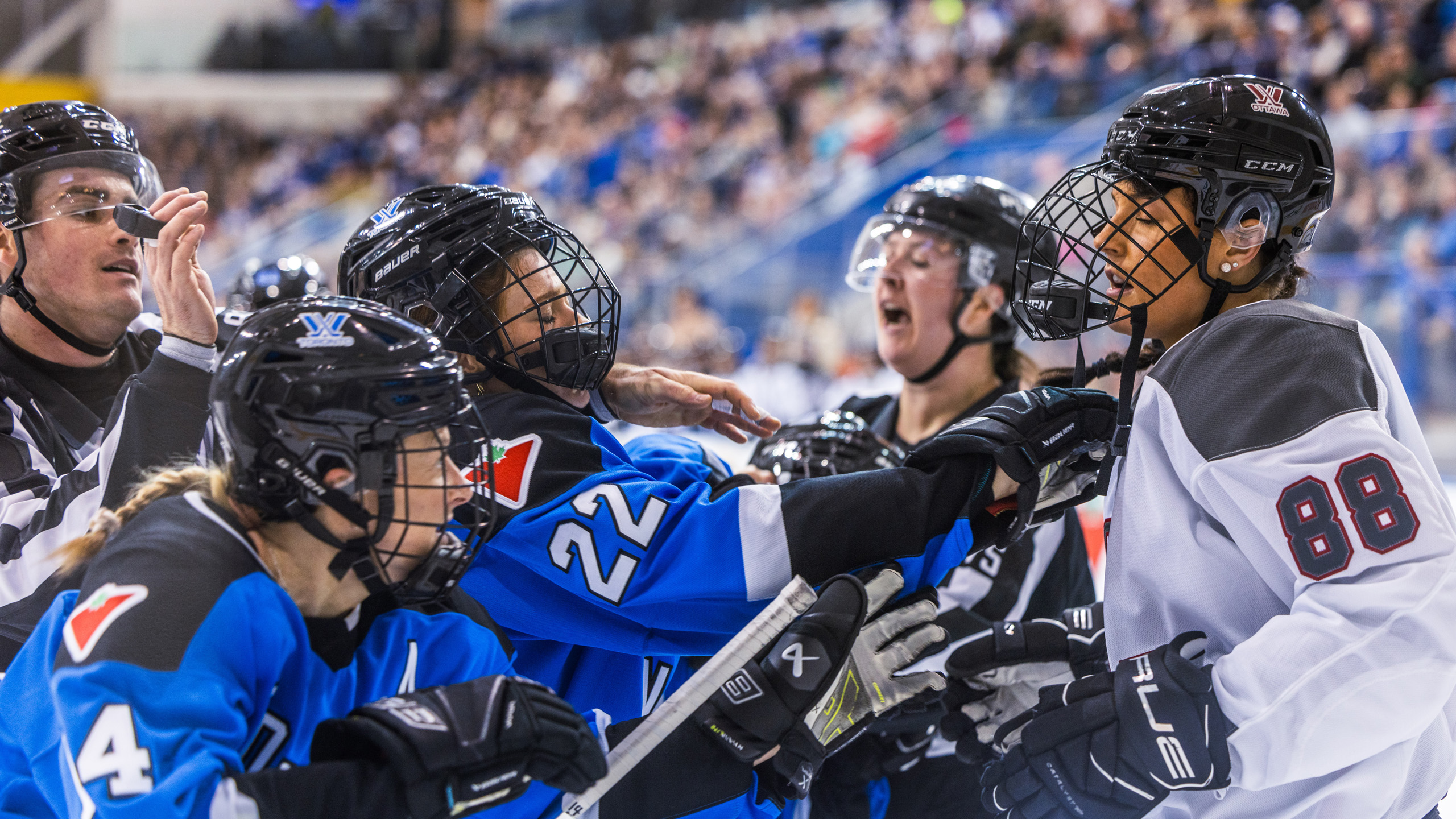 A fight breaks out between PWHL Toronto and PWHL Ottawa