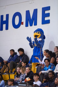 Frankie the Falcon cheers in the stands