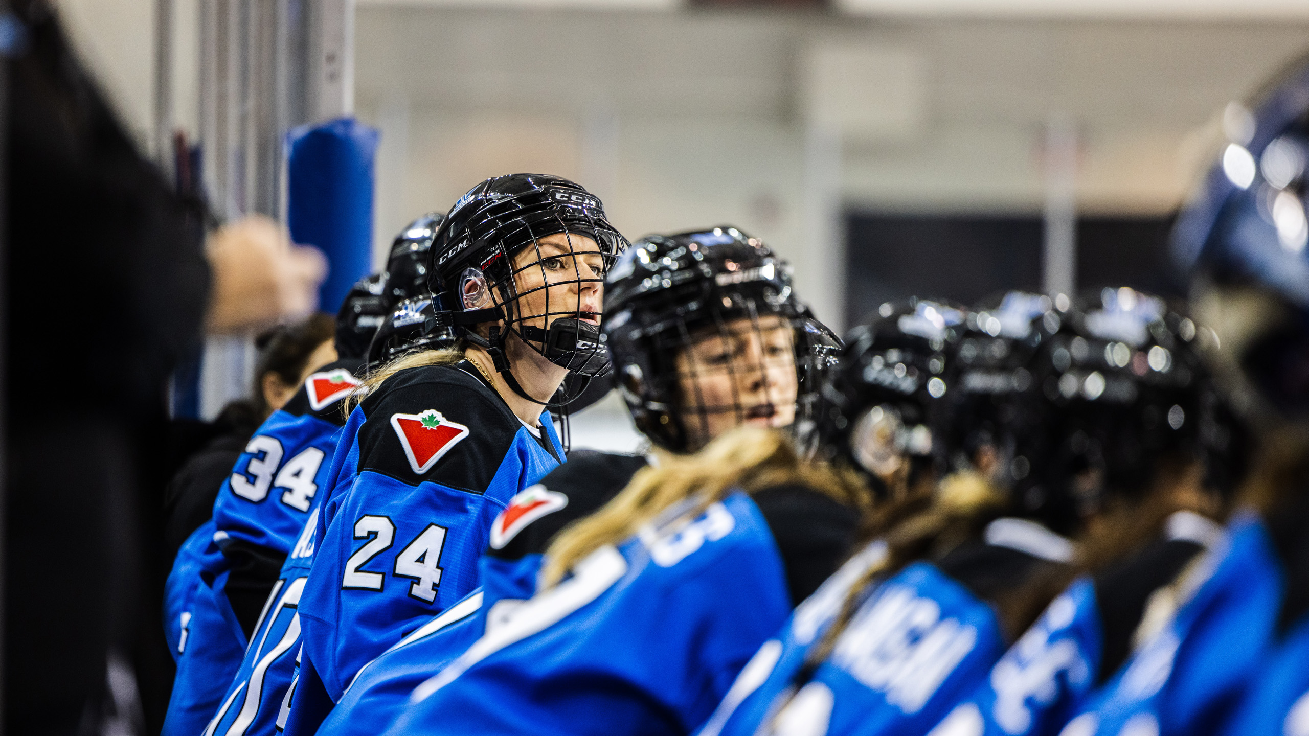 PWHL Toronto players on the bench stare at the ice