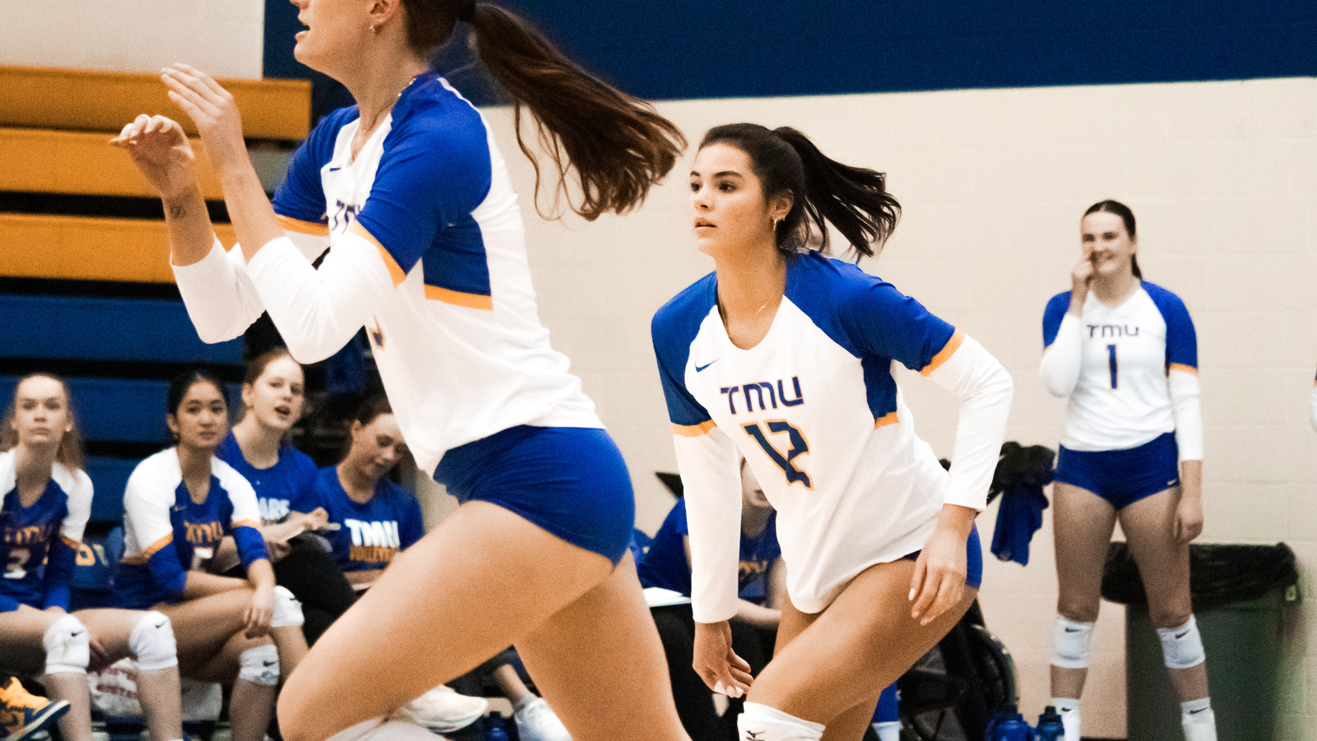 TMU women's volleyball player Scarlett Gingera prepares to jump for a ball