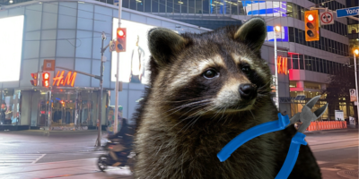Raccoon holding a pair of pliers in front of a backdrop of Yonge-Dundas Square