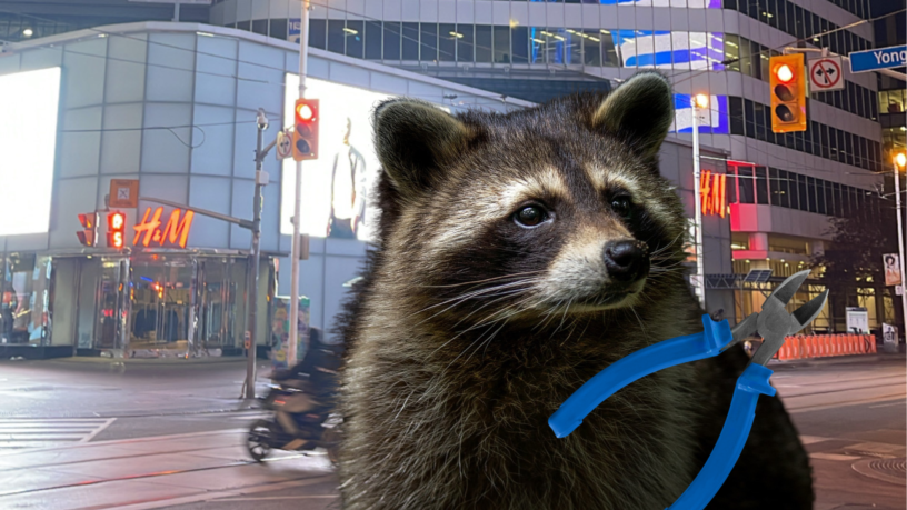 Raccoon holding a pair of pliers in front of a backdrop of Yonge-Dundas Square