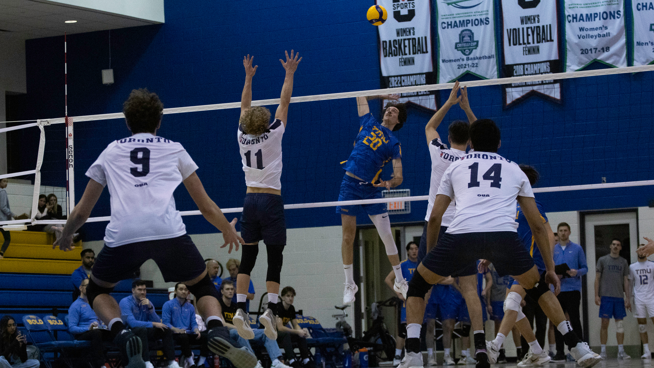 TMU Bold men's volleyball player Alex King spikes the ball