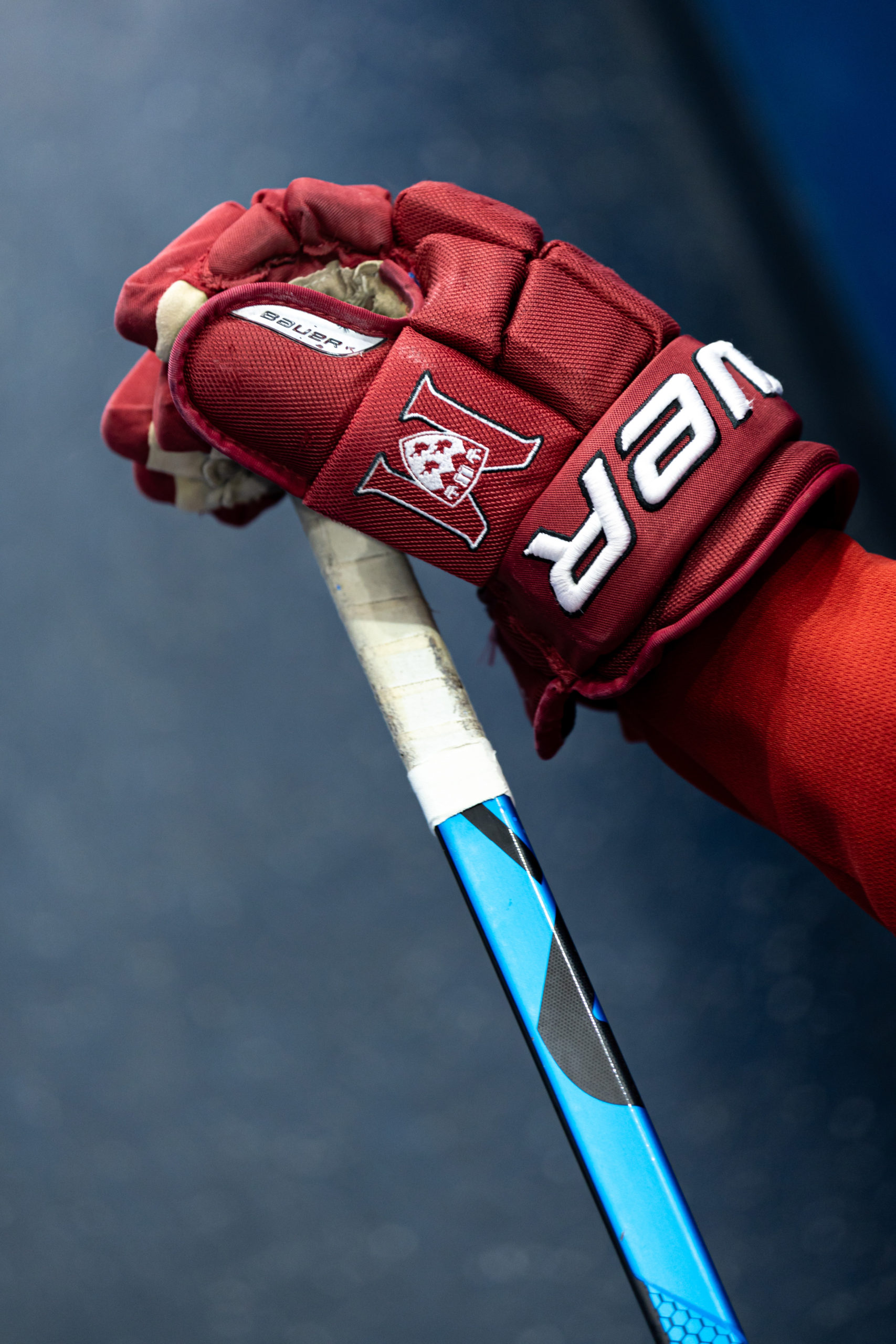 A closeup of the McGill Redbirds hockey glove