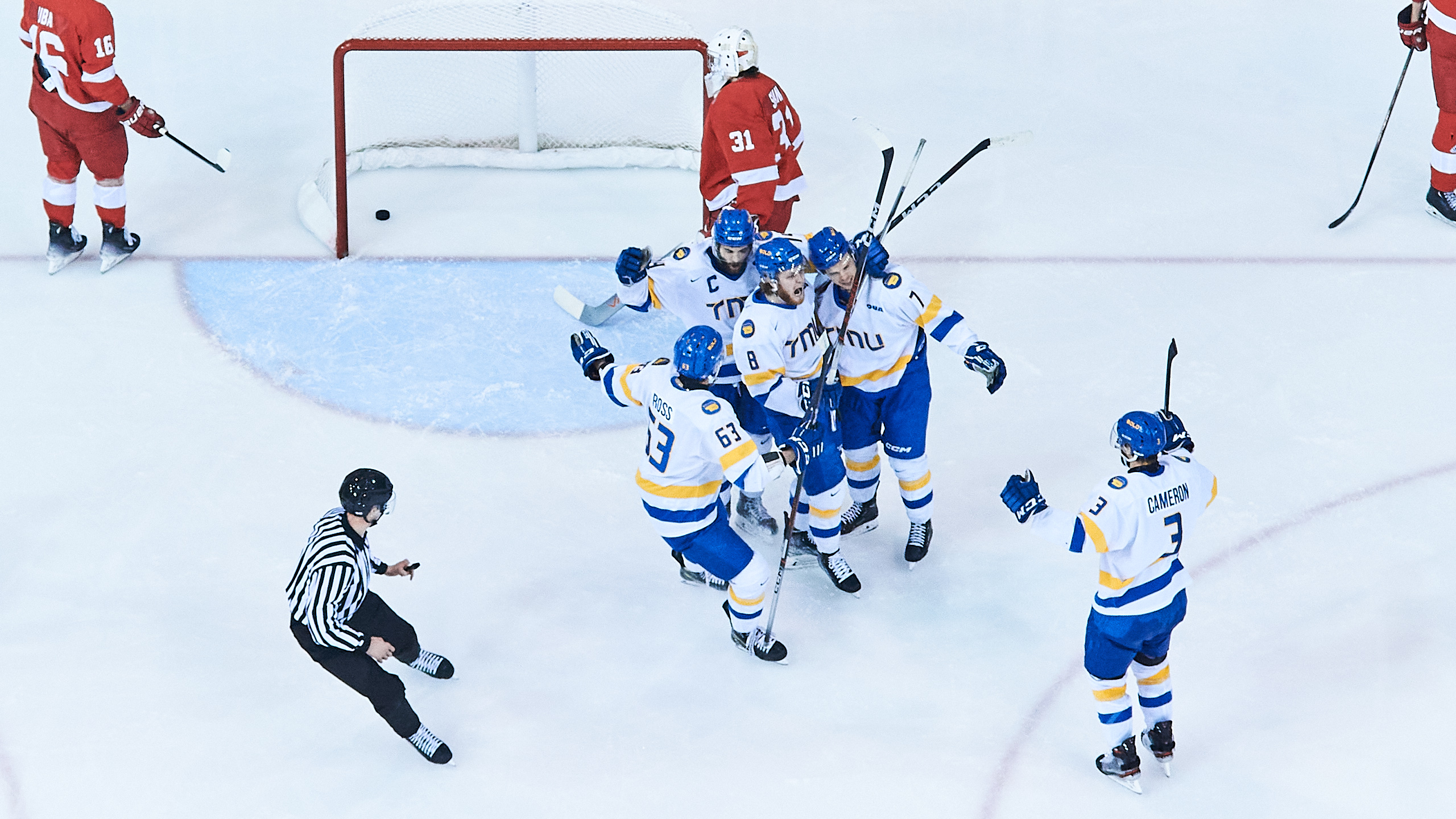 A group of TMU Bold men's hockey players celebrate in a huddle together after scoring a goal. The puck can be seen in the McGill net