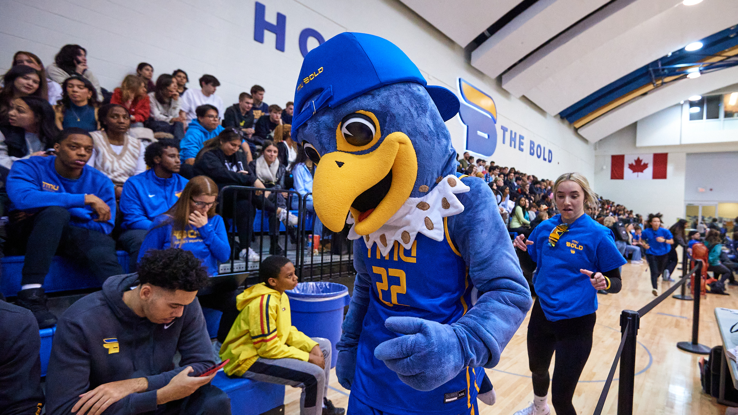 A blue falcon mascot stands in front of a gymnasium audience