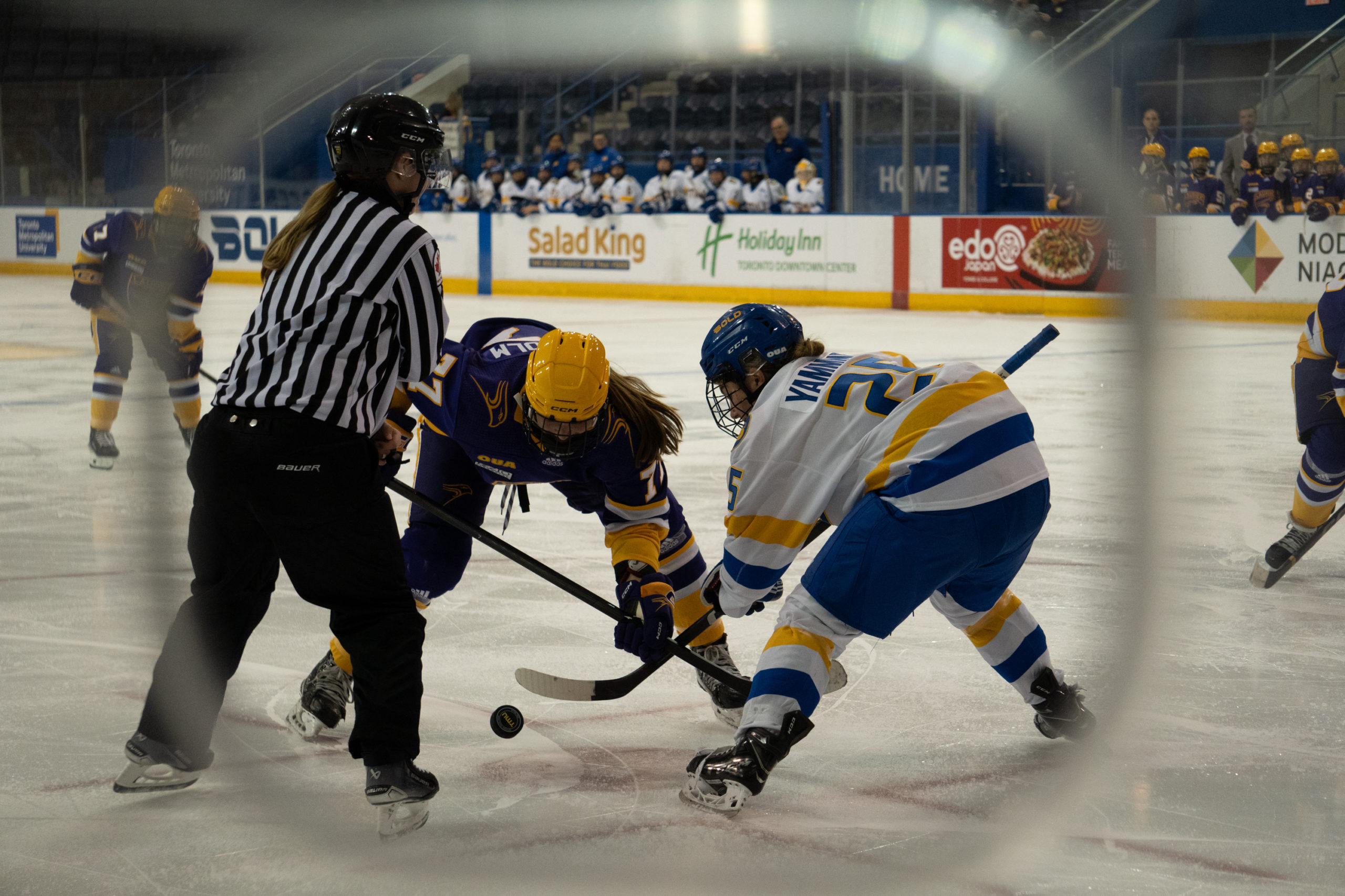 A referee drops the puck between TMU player Brittni Yammine and a Laurier Golden Hawks player