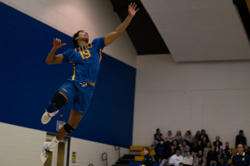 TMU Bold men's volleyball player Jacob Walker jump serves a volleyball