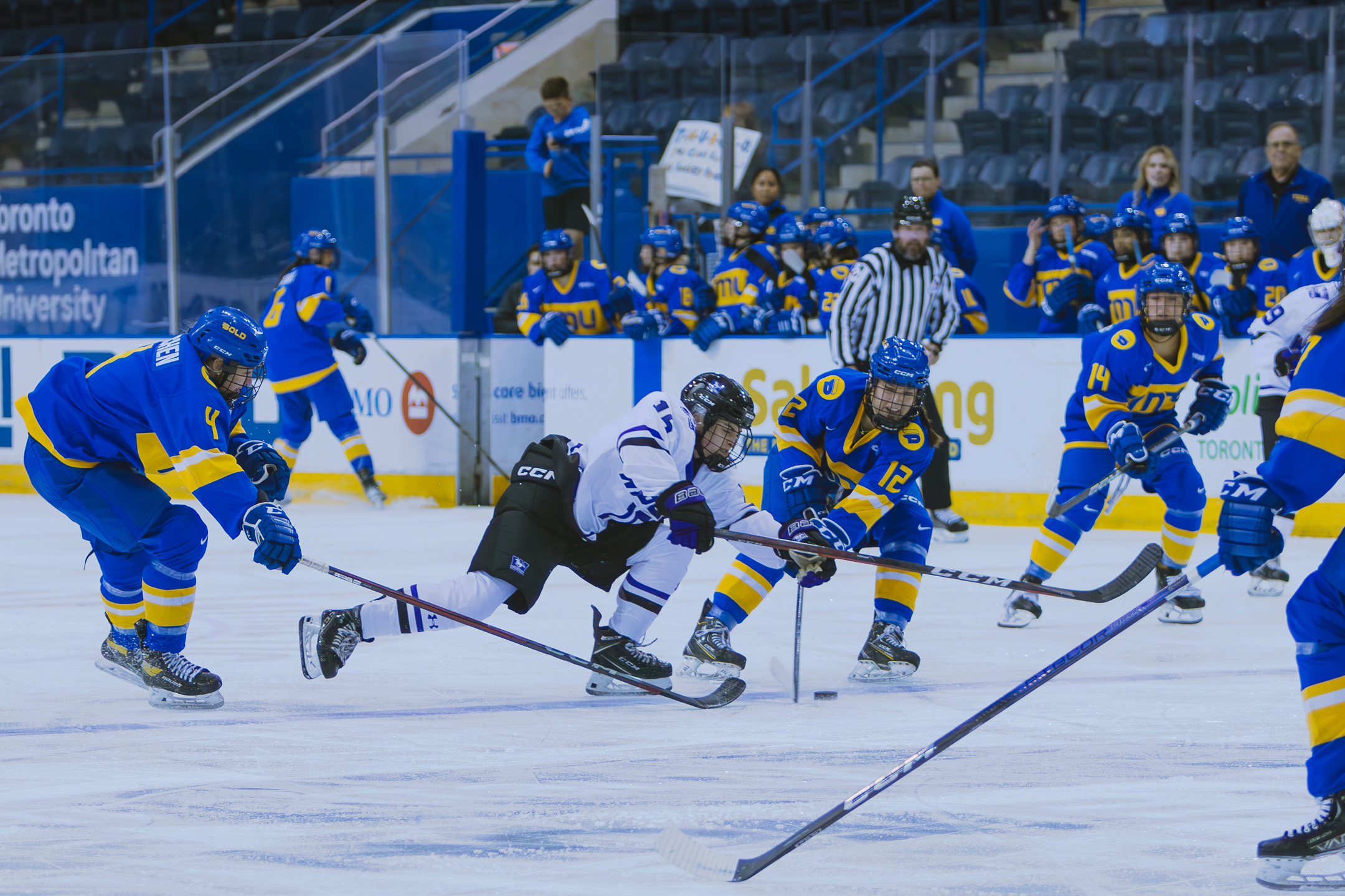 a bunch of TMU players trying to take the puck from a Mustangs player