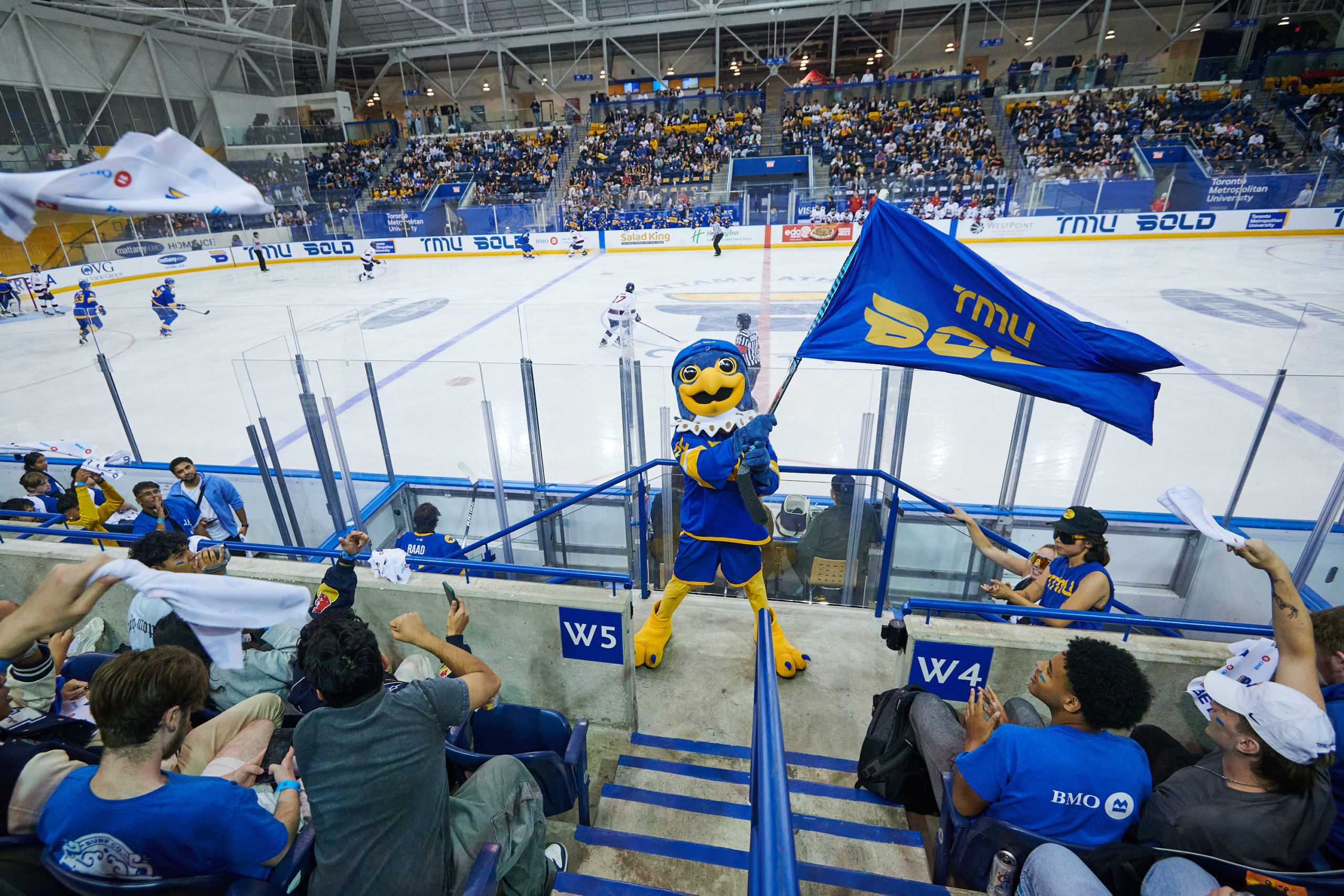 Frankie the falcon waving a TMU Bold flag