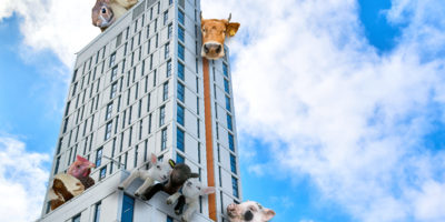 A photo outside of the Daphne Cockwell Complex (DCC) building during a bright, sunny day with a variety of barnyard animals edited on the rooftops.