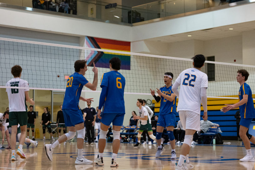 The men's volleyball team celebrating a point