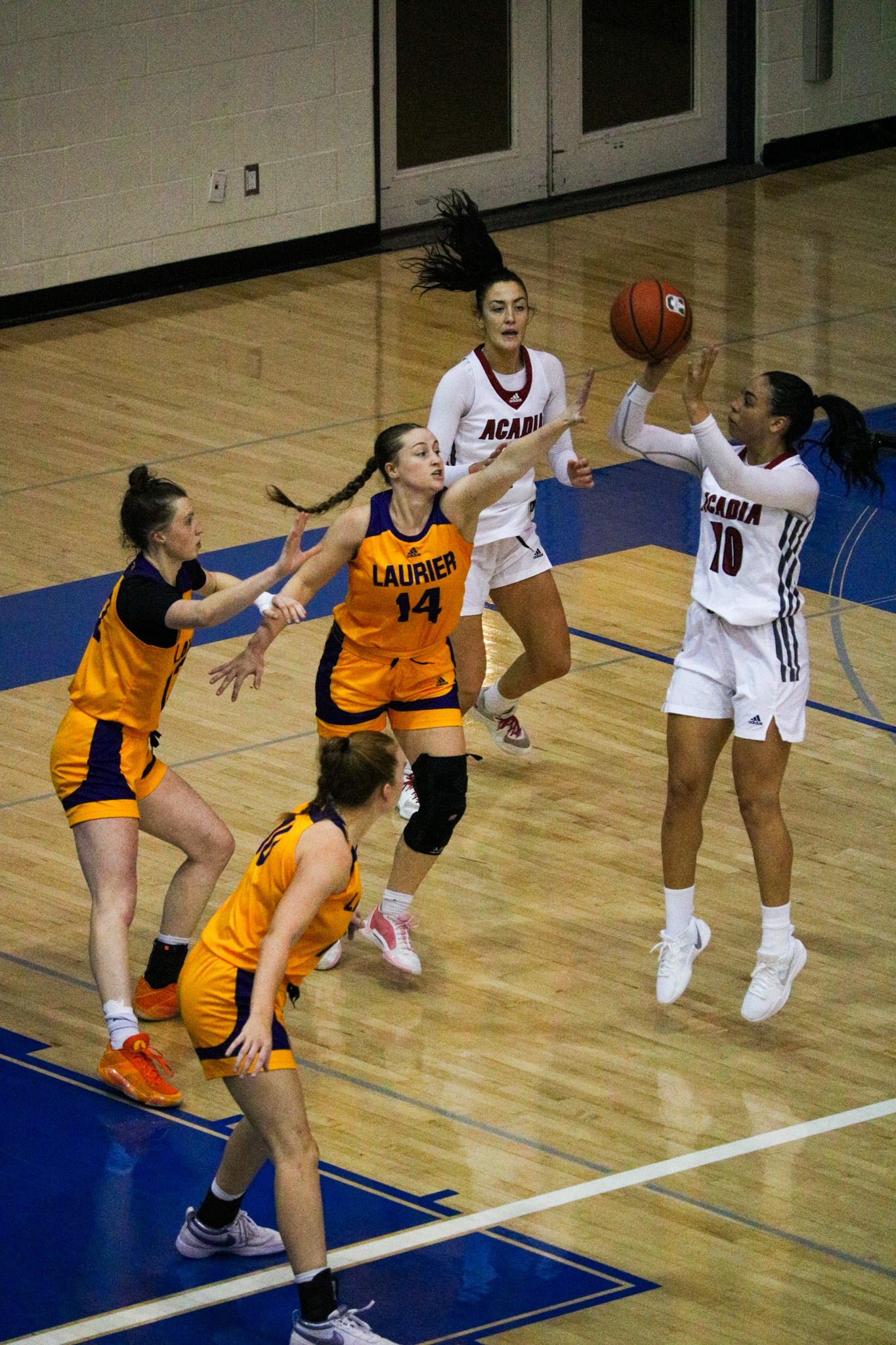 An Acadia Axewomen player shoots as a Laurier Golden Hawks defender leaps at them. Other players surround them