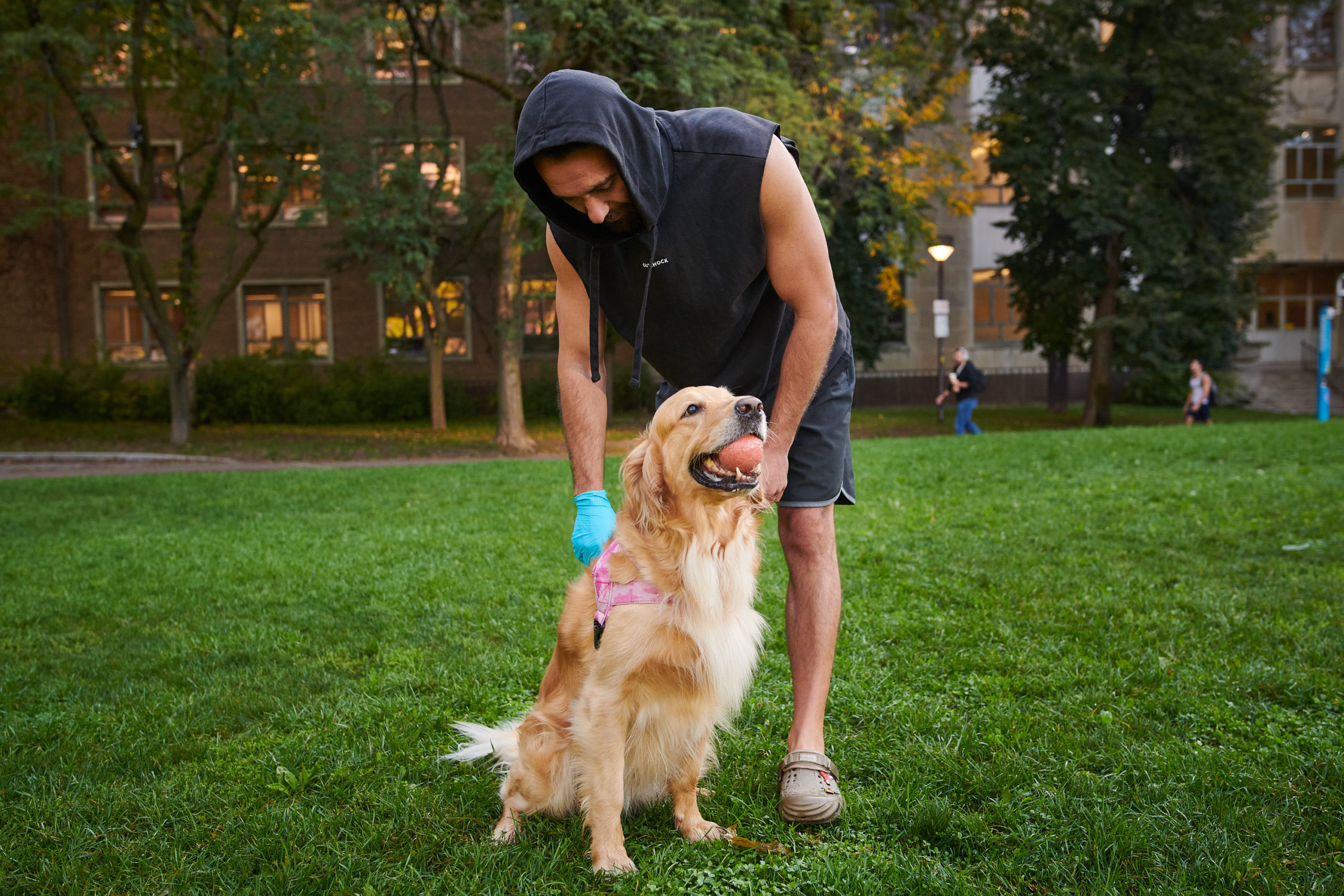 A dog sitting by its owner holds a dog in its mouth.