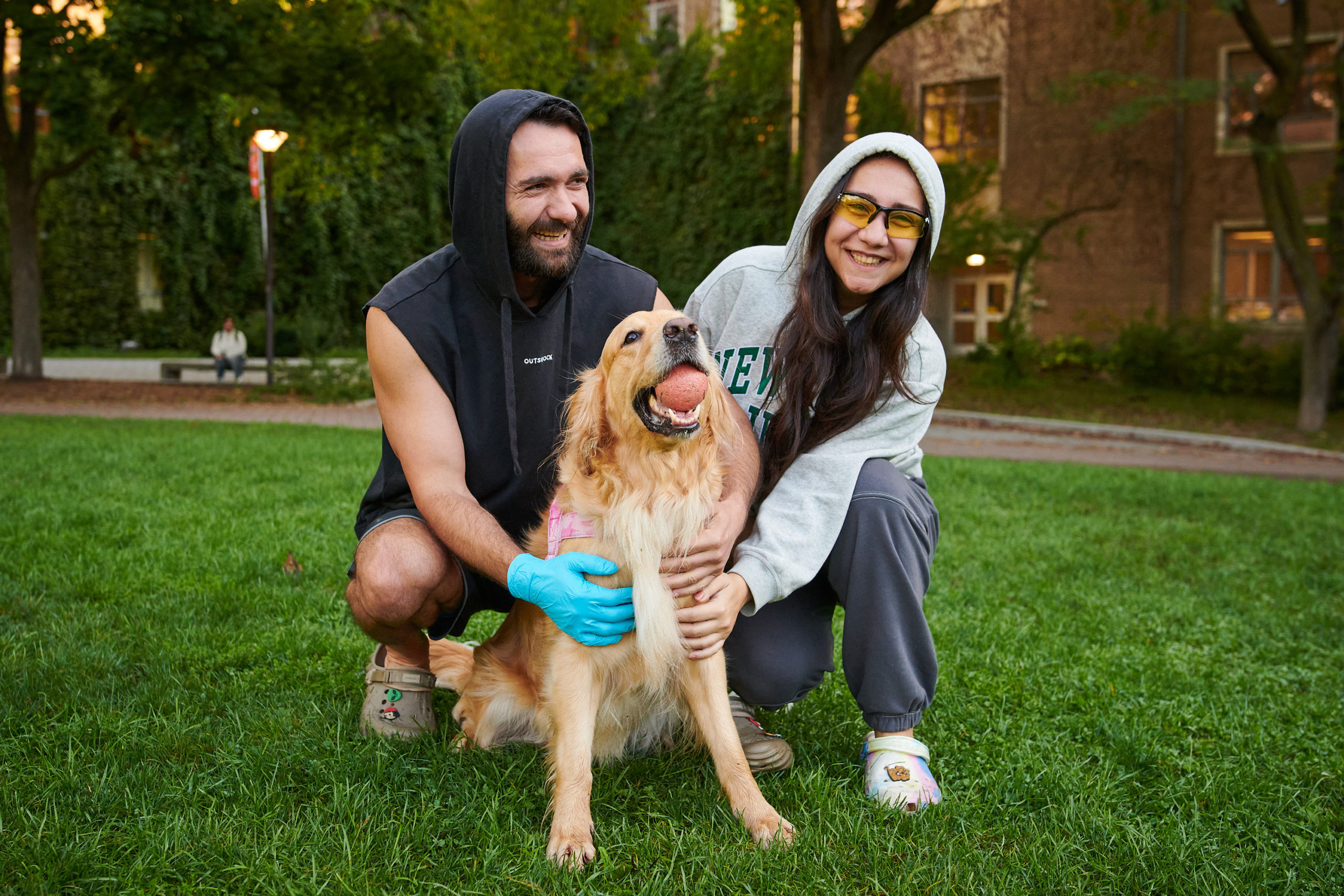 A man and a woman sit smiling behind their golden retriever who holds a ball in its mouth.