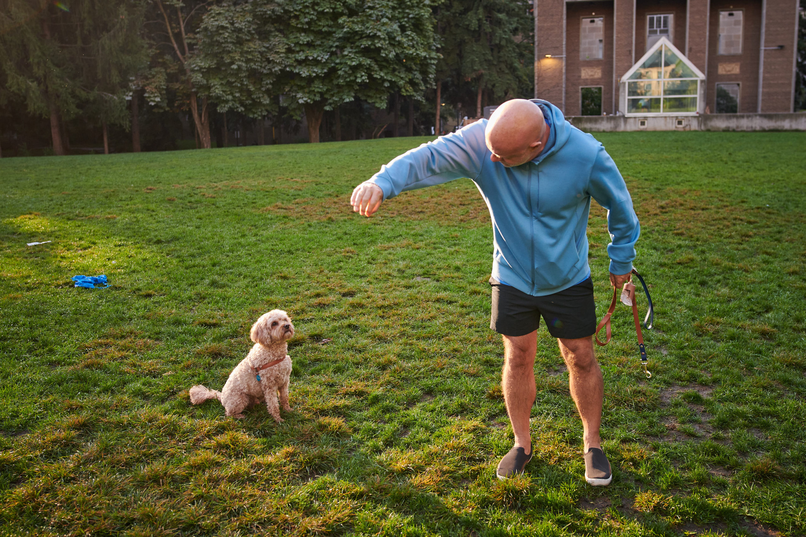 A small dog sits looking up at its owners hand as he tries to play with it.