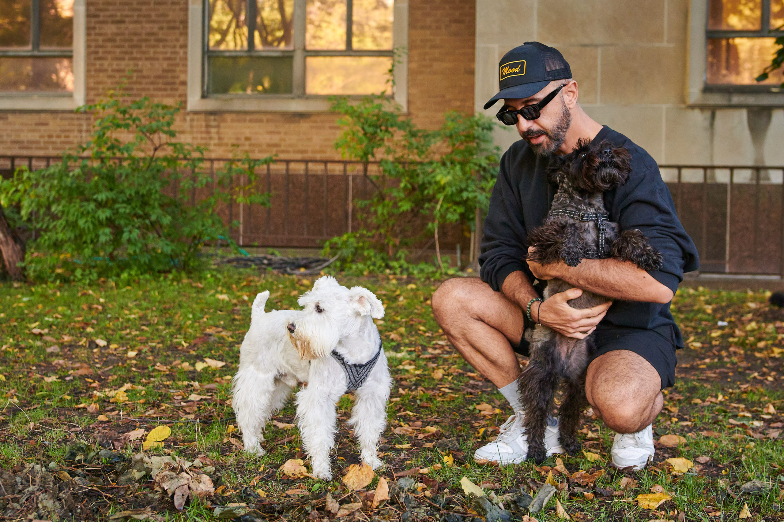 A dog owner holds one dog and looks at the other, who is standing.