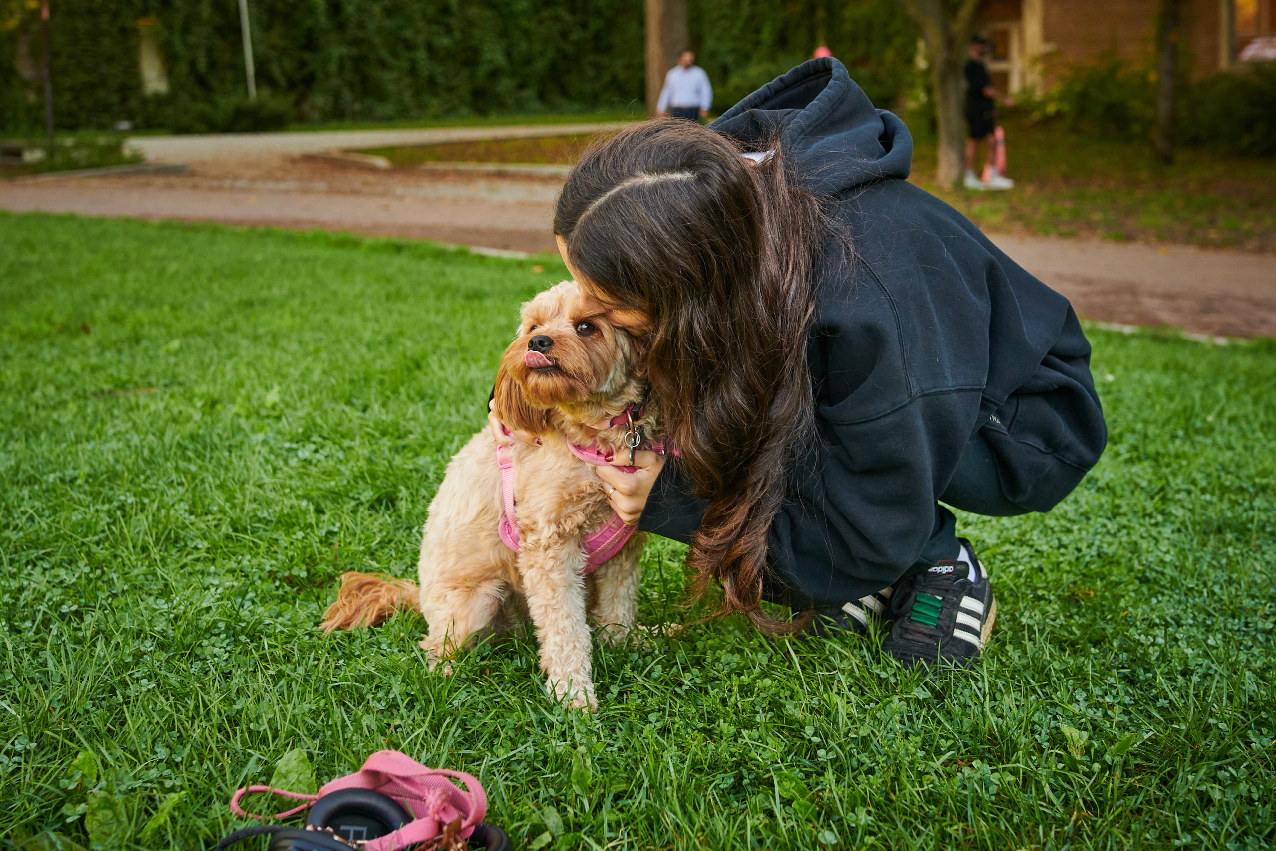 A dog owner kisses their dog on the cheek.