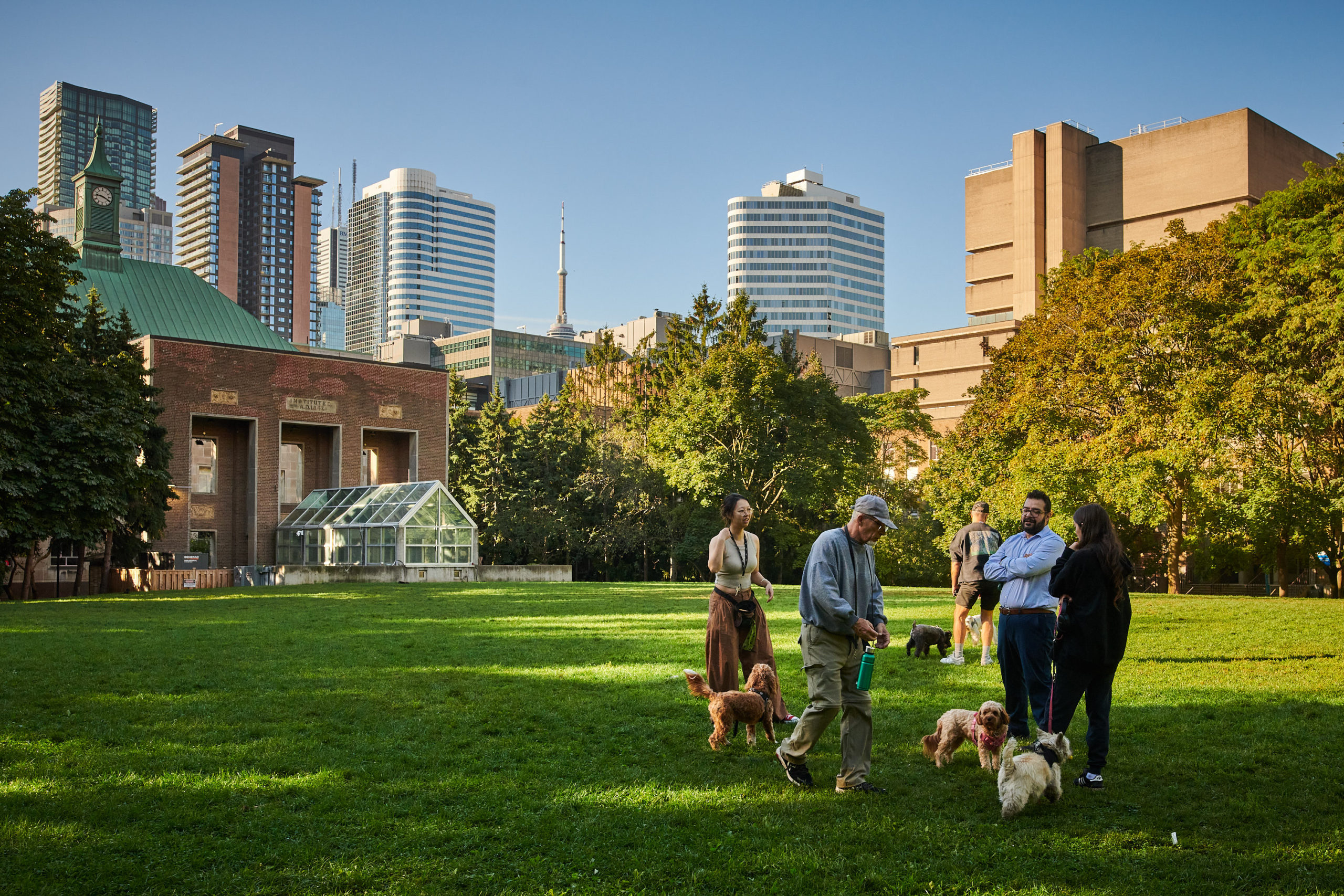 A wide shot of various dogs and their owners standing in the park.