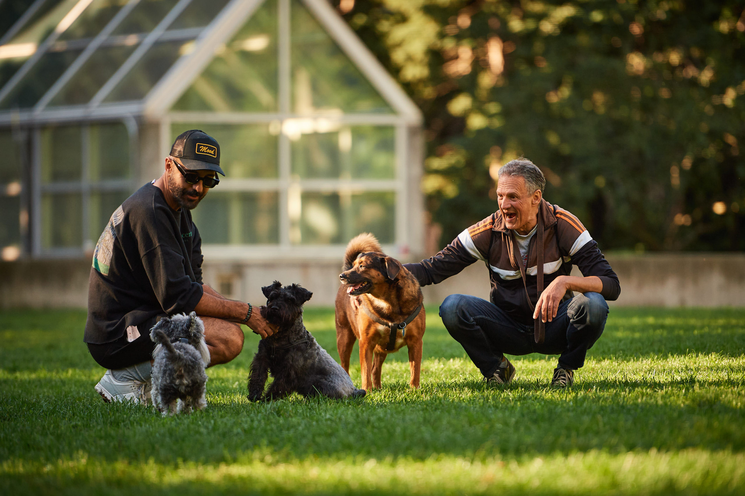 Two dog owners squat down to pet their three dogs.