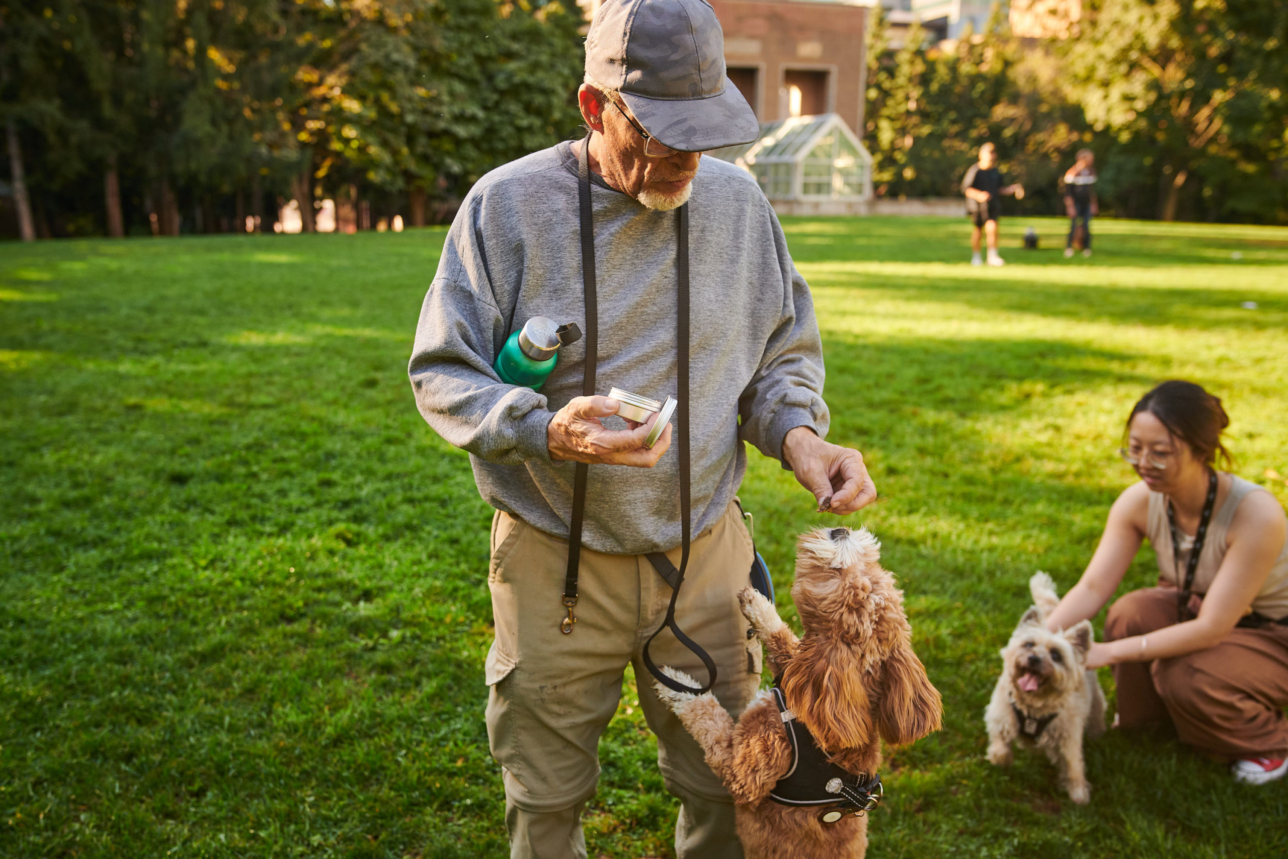 A dog owner feeds their pet a treat.