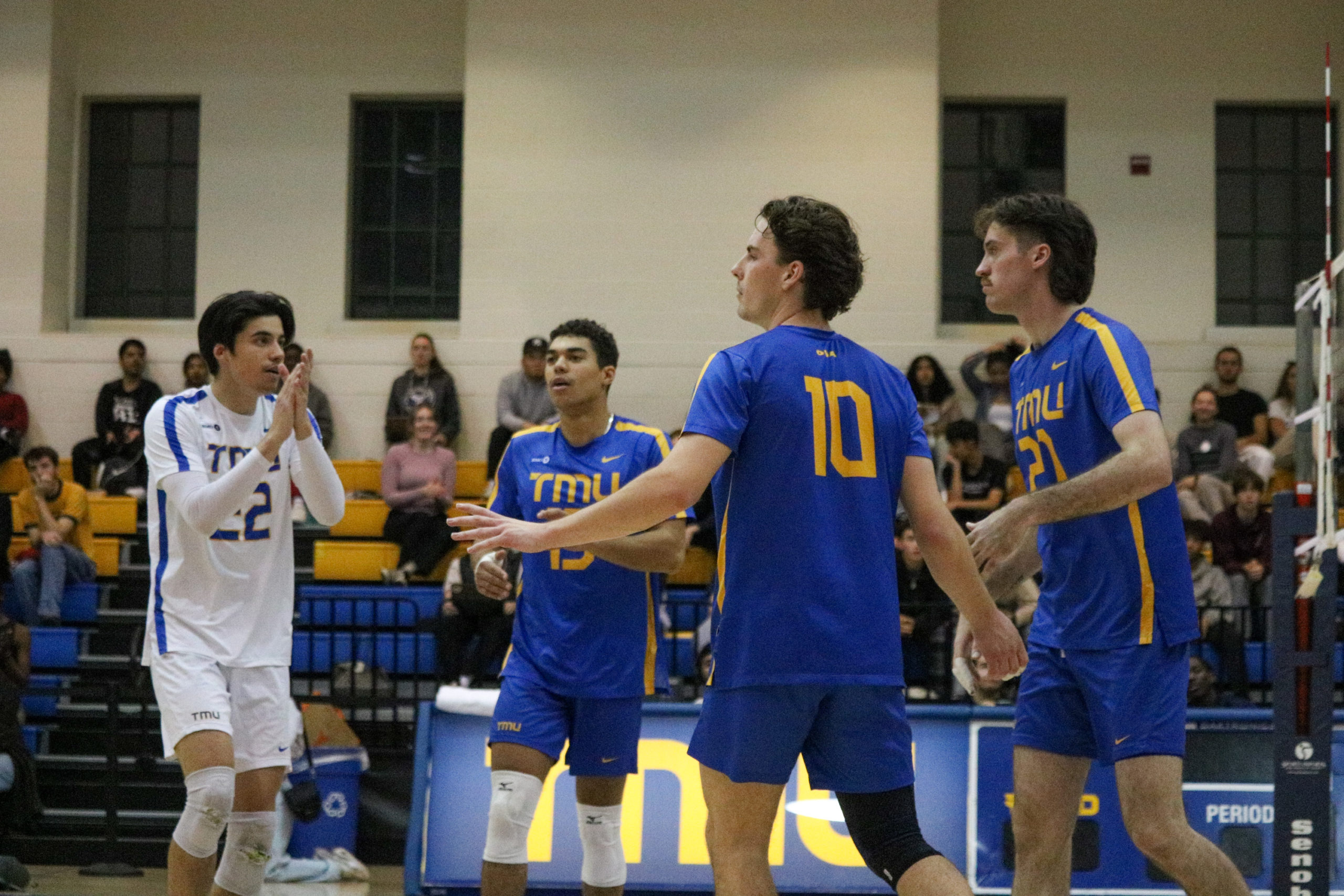 TMU Bold men's volleyball players celebrate a point