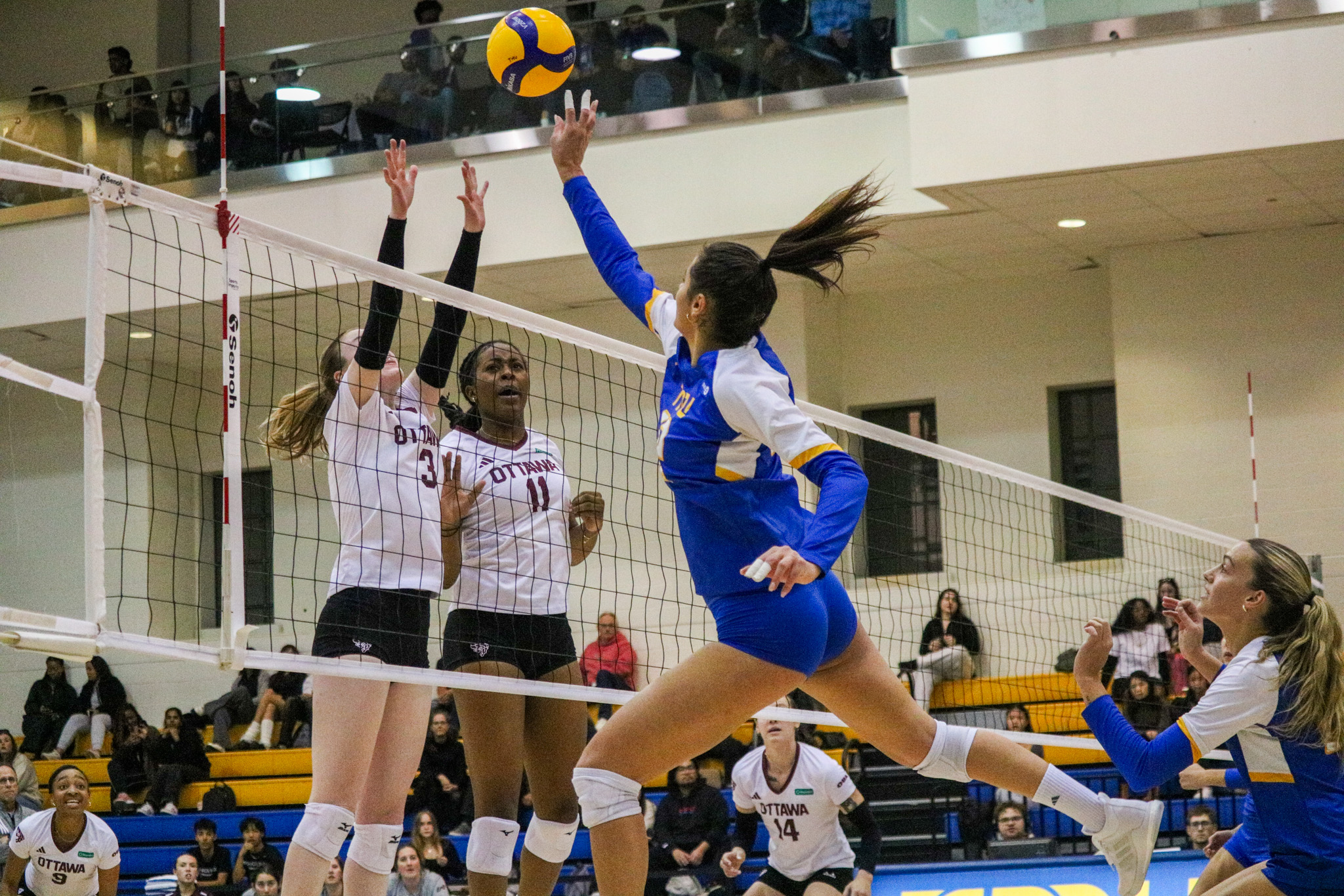 Scarlett Gingera tipping the ball over the wall