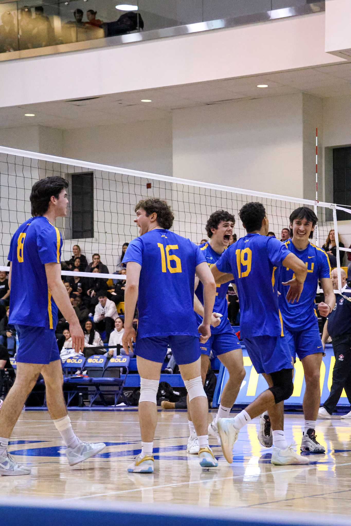 The TMU Bold men's volleyball team celebrating a point