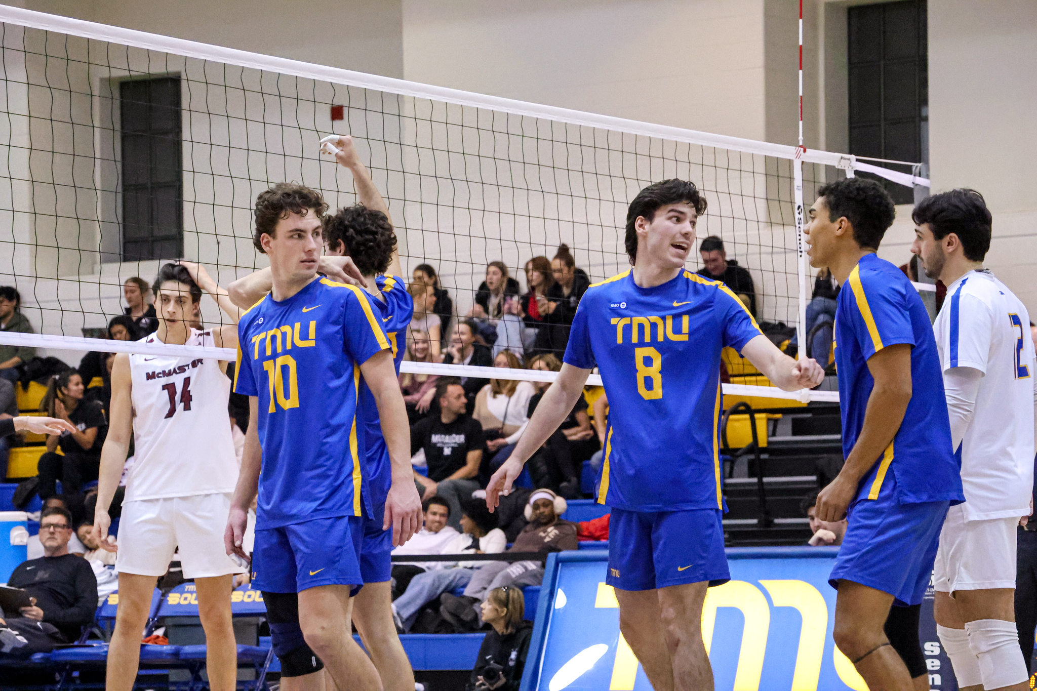 The TMU Bold men's team talking in between points