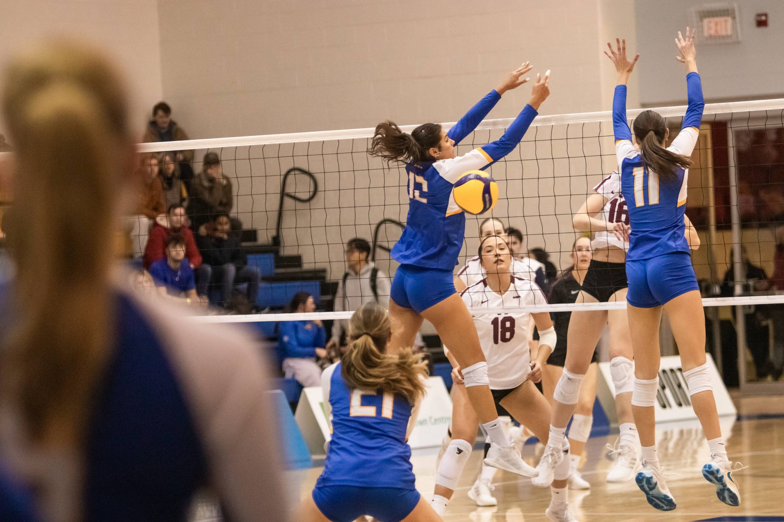 two tmu Bold players attempting to block the ball