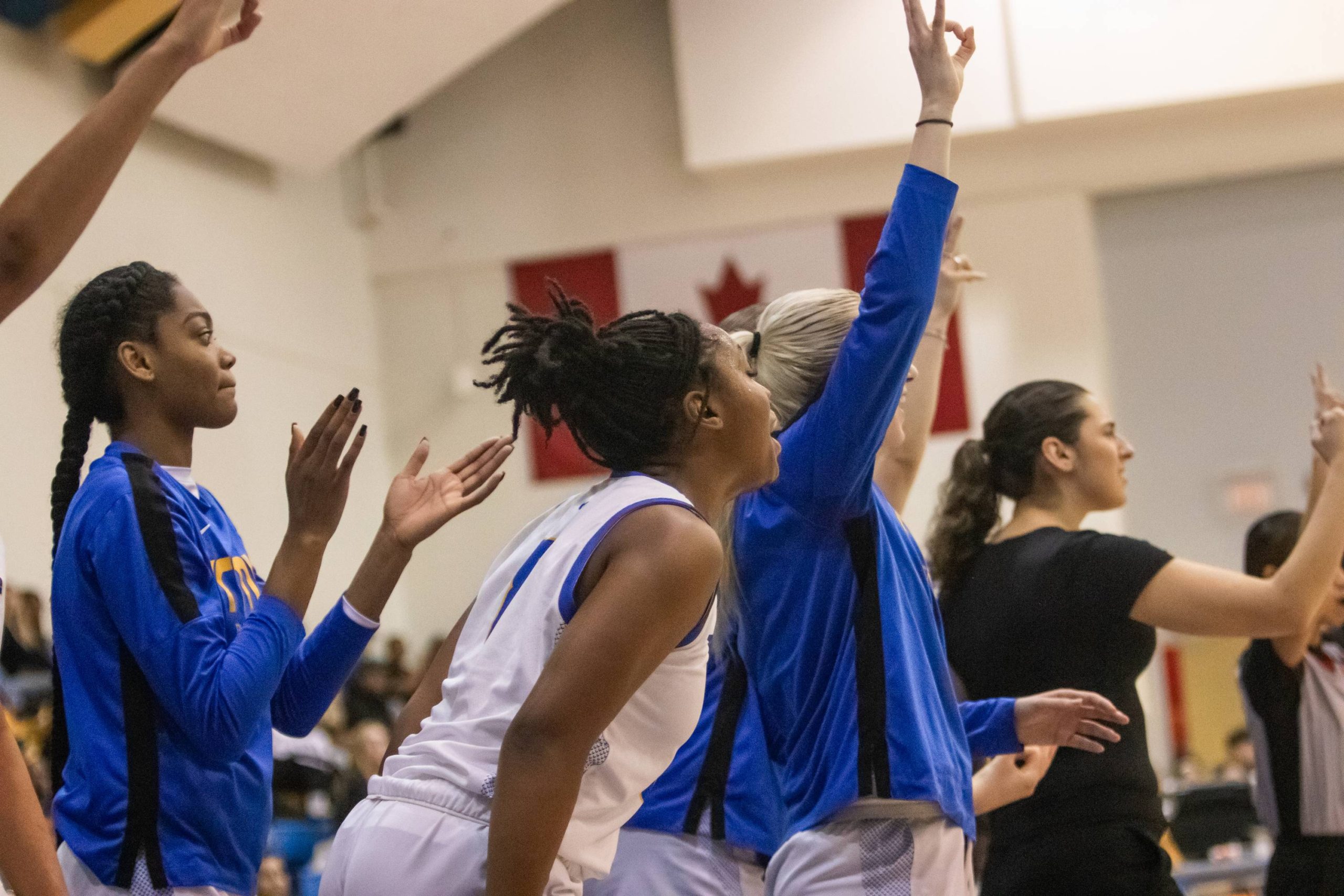 The TMU Bold bench celebrating someone scoring a three-pointer